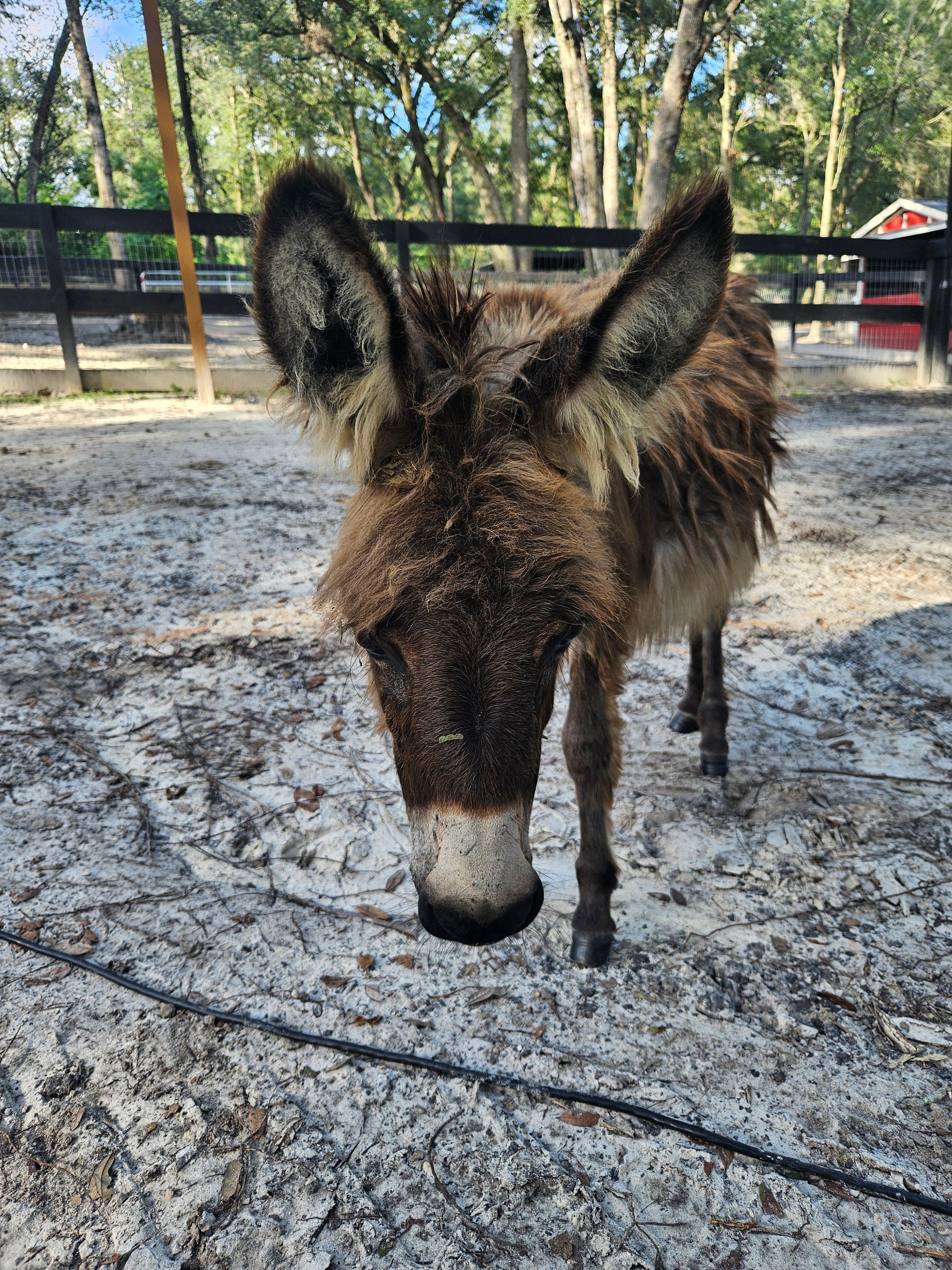 Terra Verde Farm's image