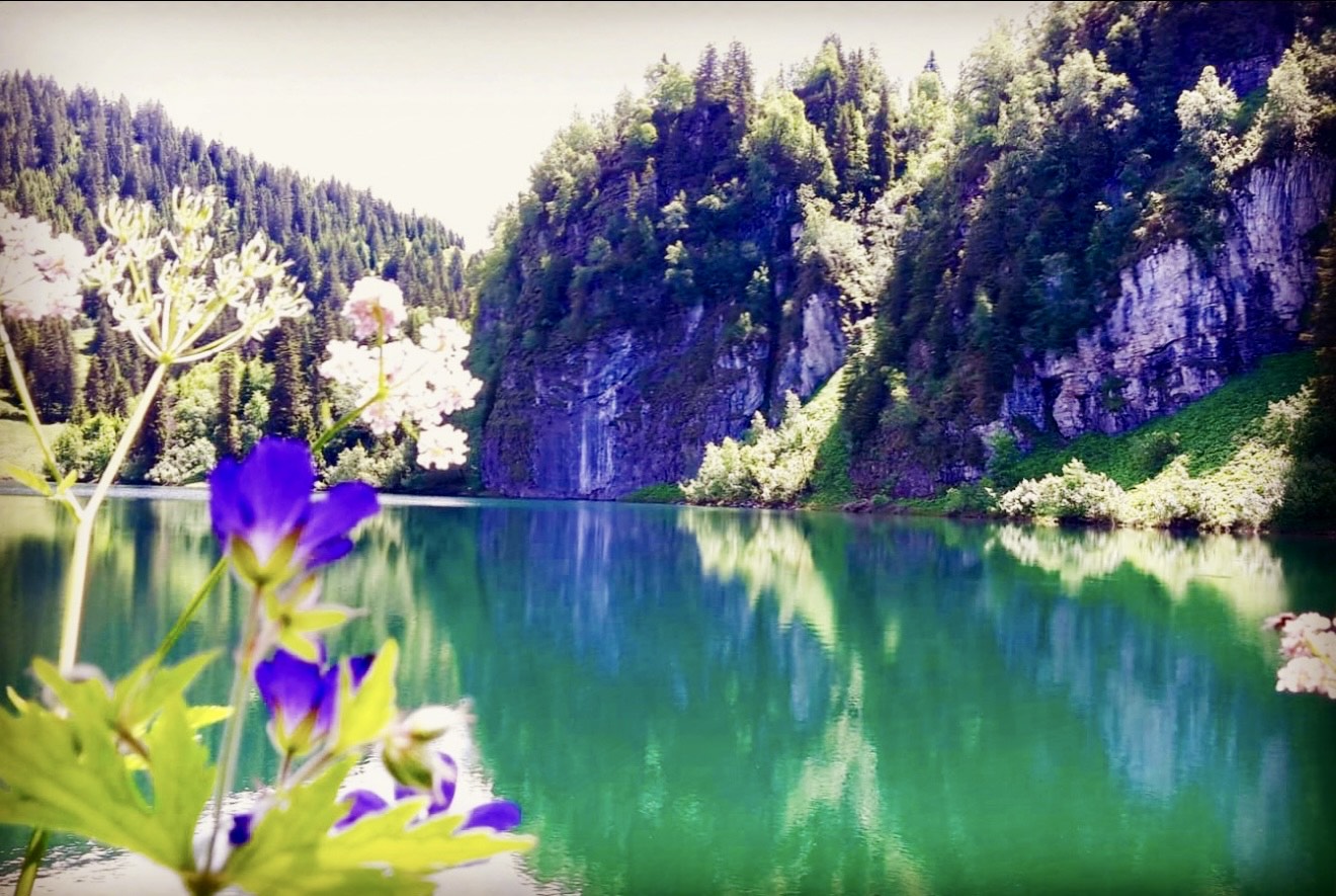 Serenity's image