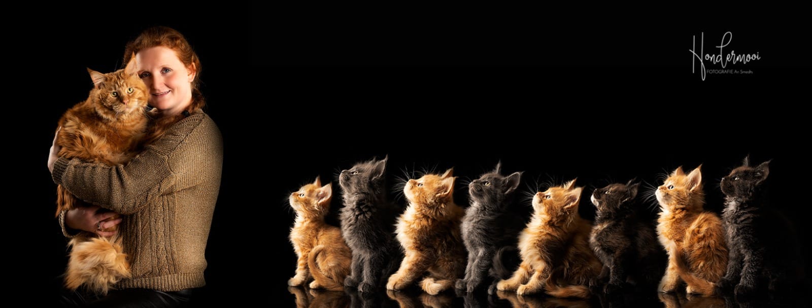 Garden Of Coons's image