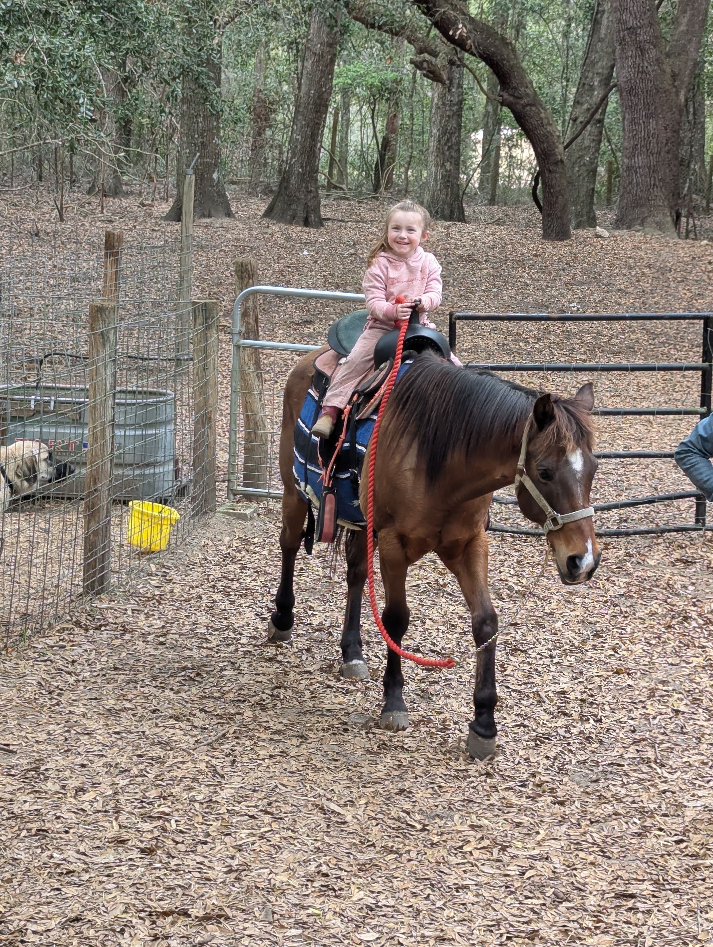 Willow & Huckleberry