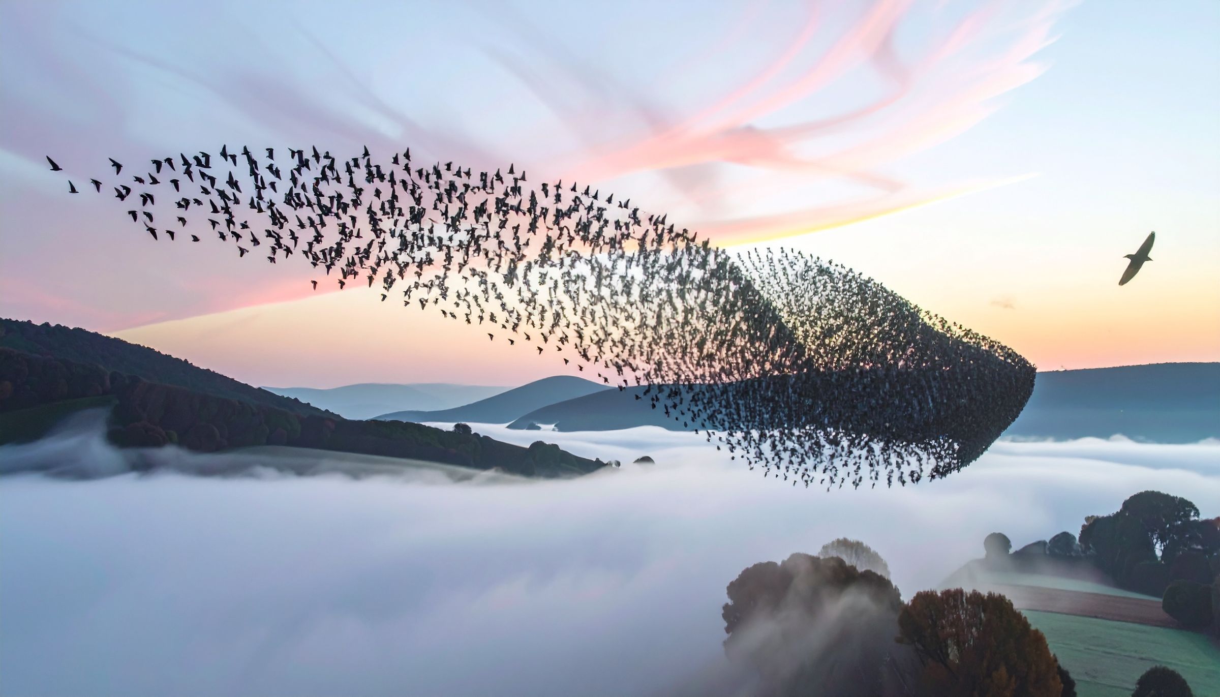 Carol Parenzan The Water Healer's image