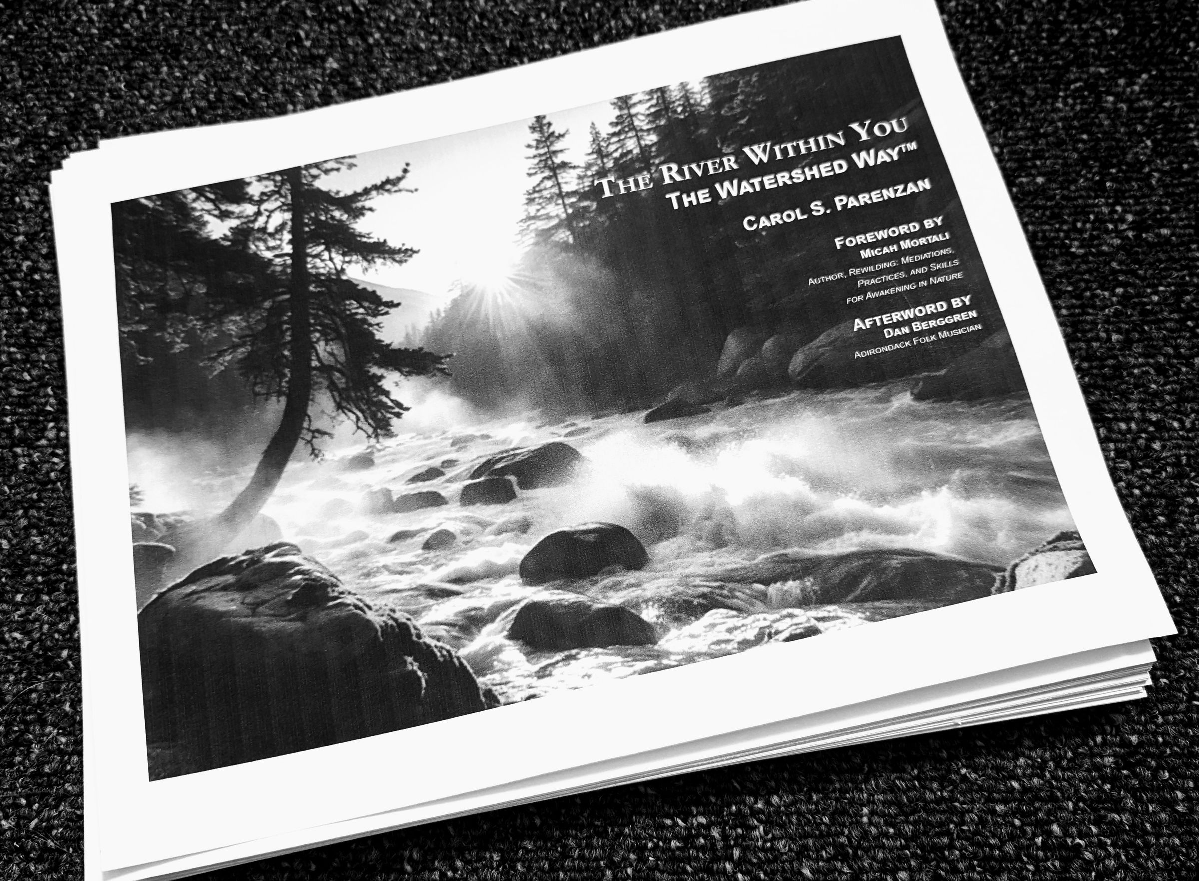 Carol Parenzan The Water Healer's image