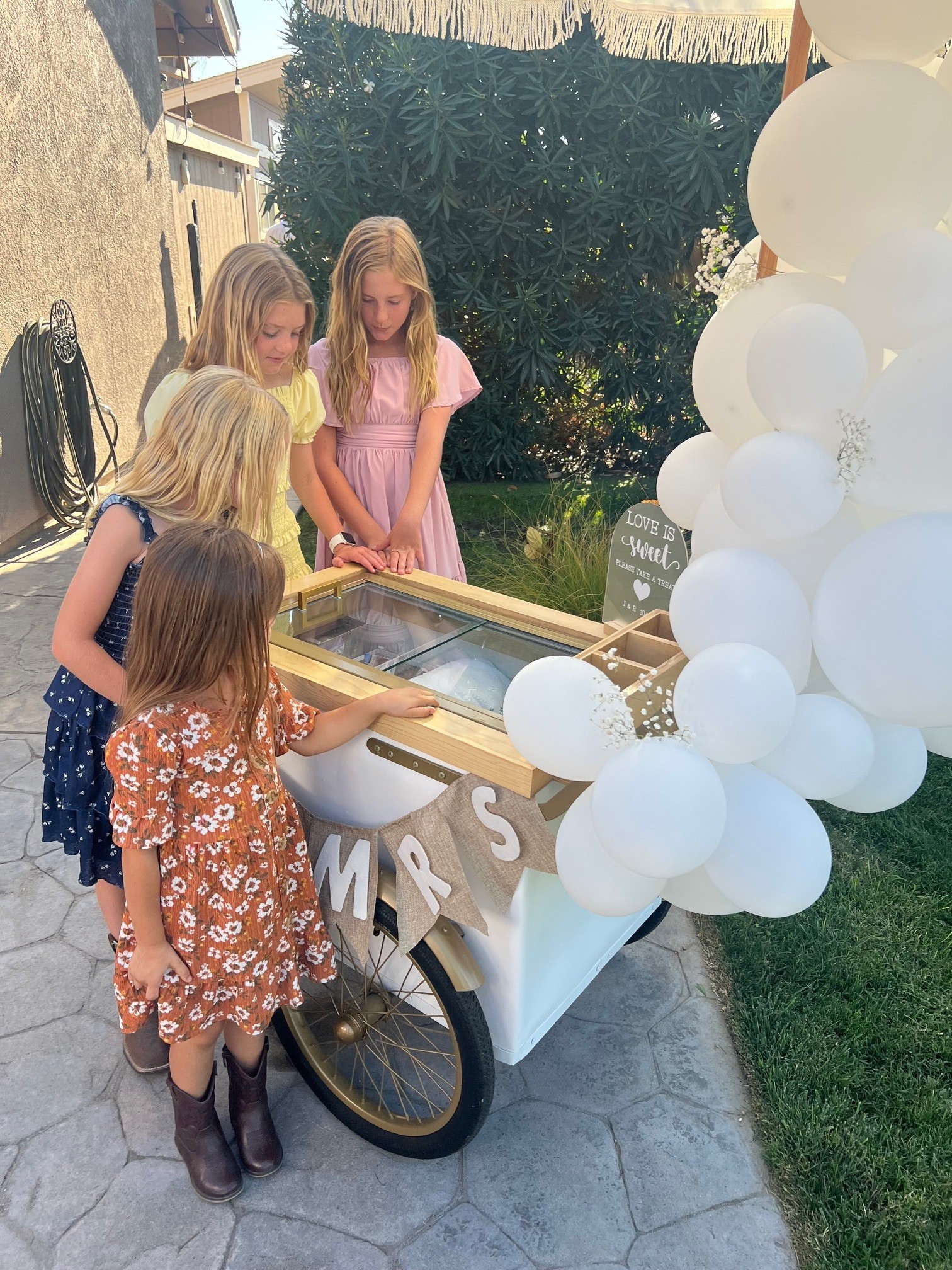 Rolling in Style's image