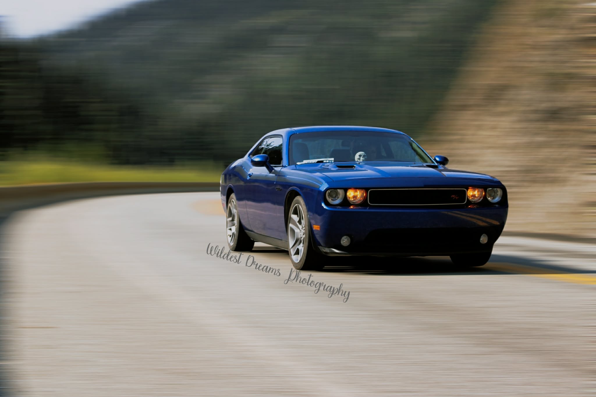 Wildest Dreams Photography's image