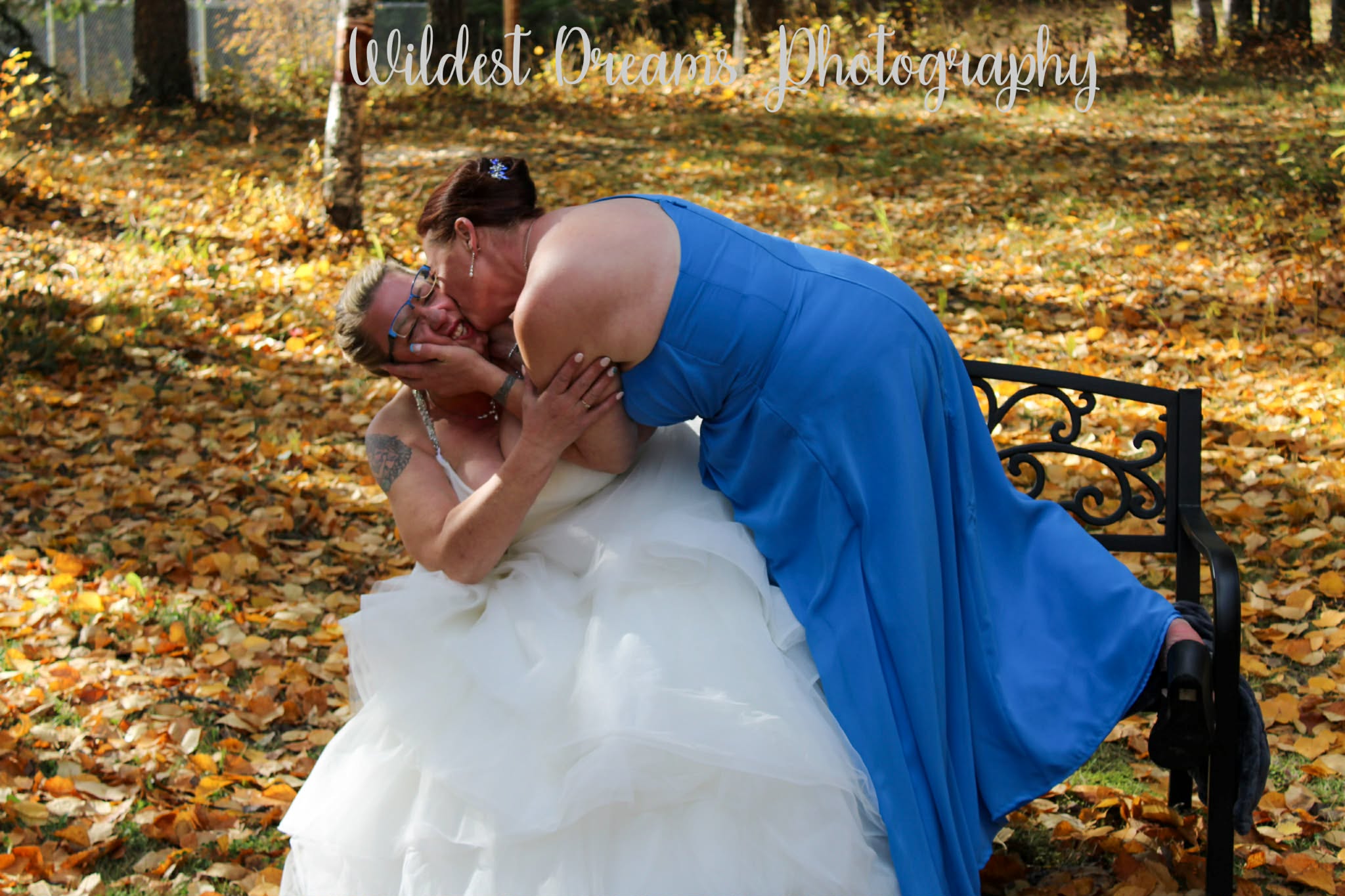 Wildest Dreams Photography's image