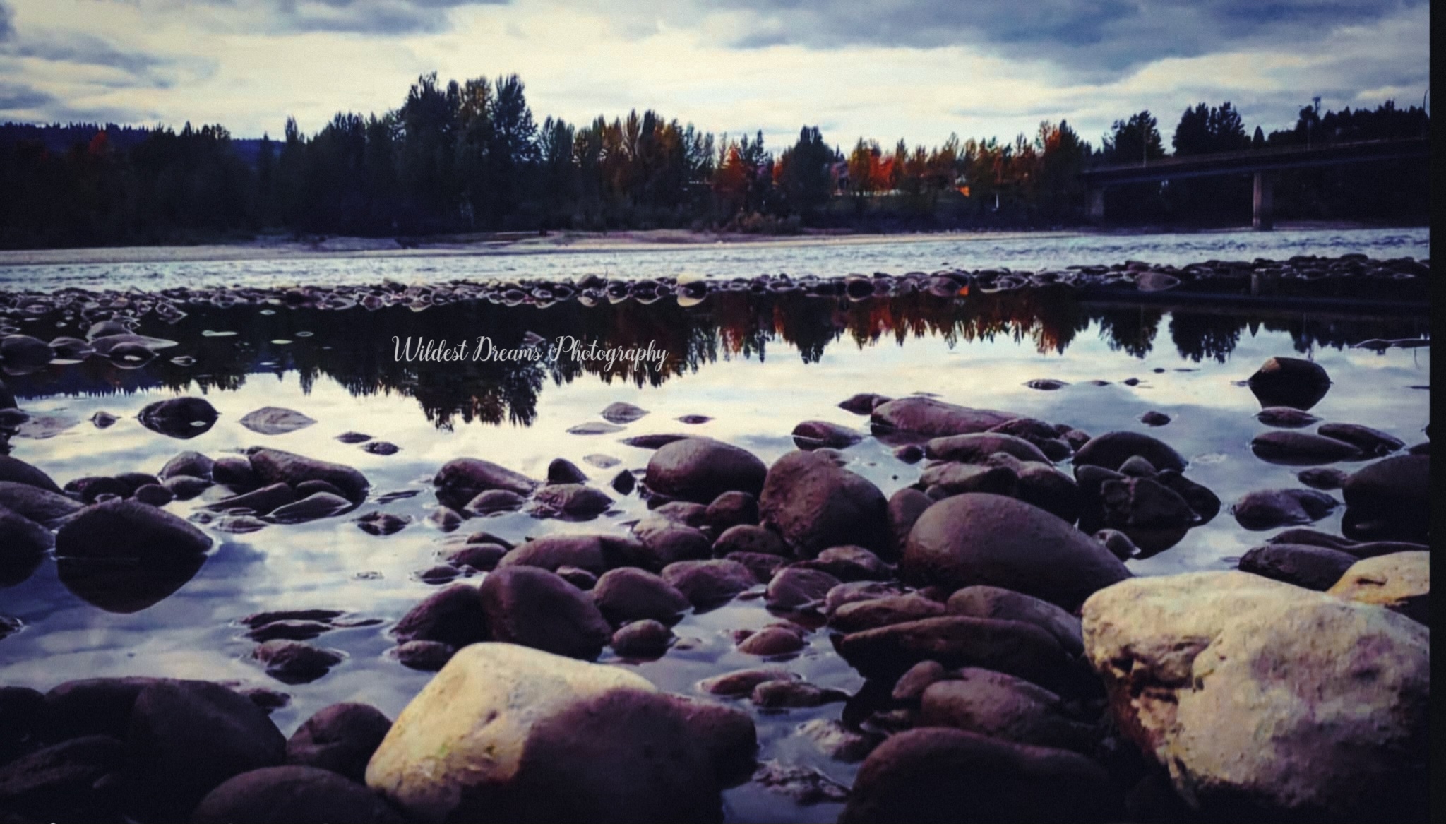 Wildest Dreams Photography's image