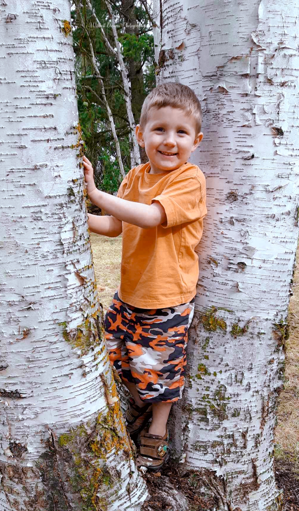 Wildest Dreams Photography's image