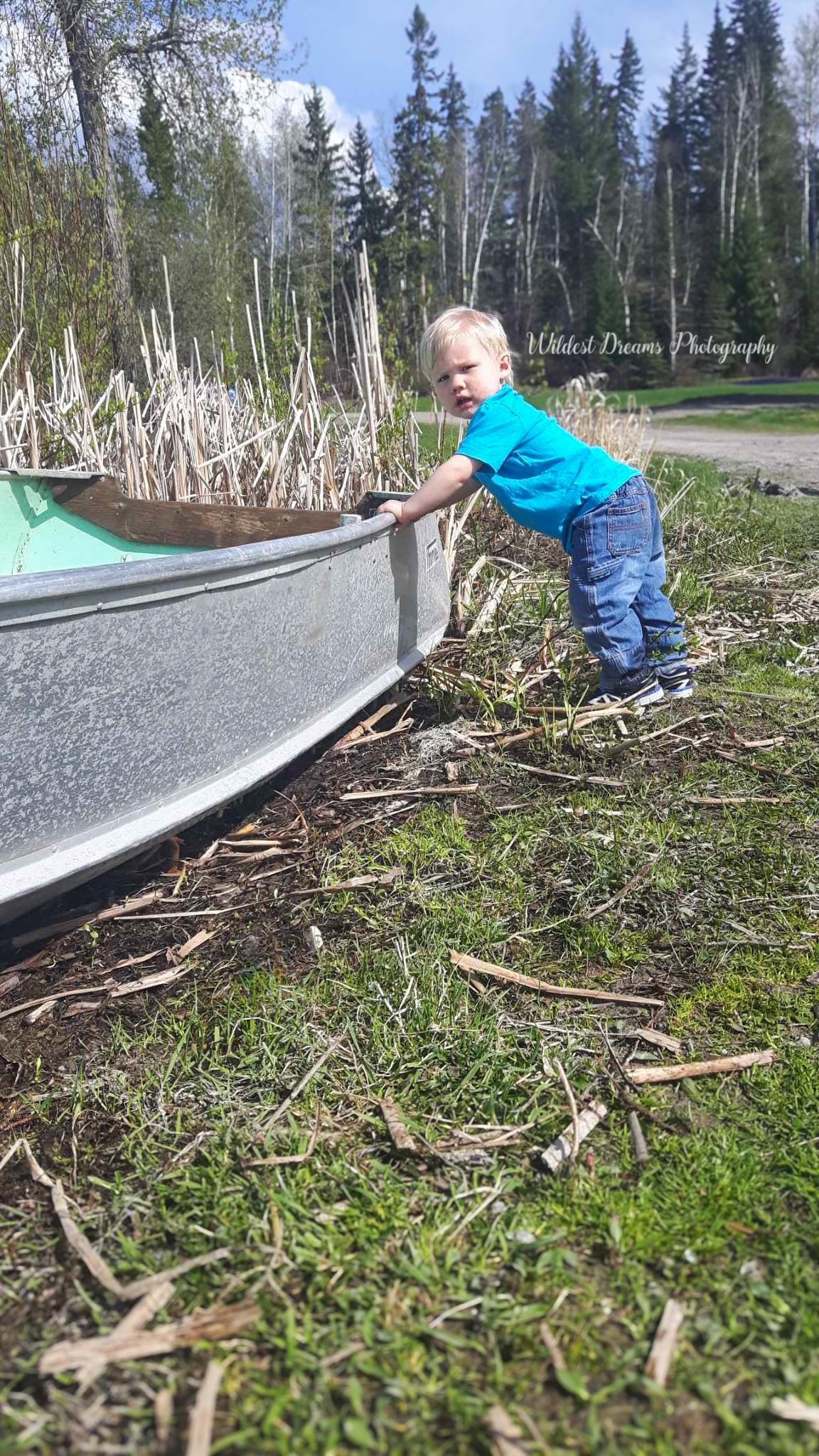 Wildest Dreams Photography's image