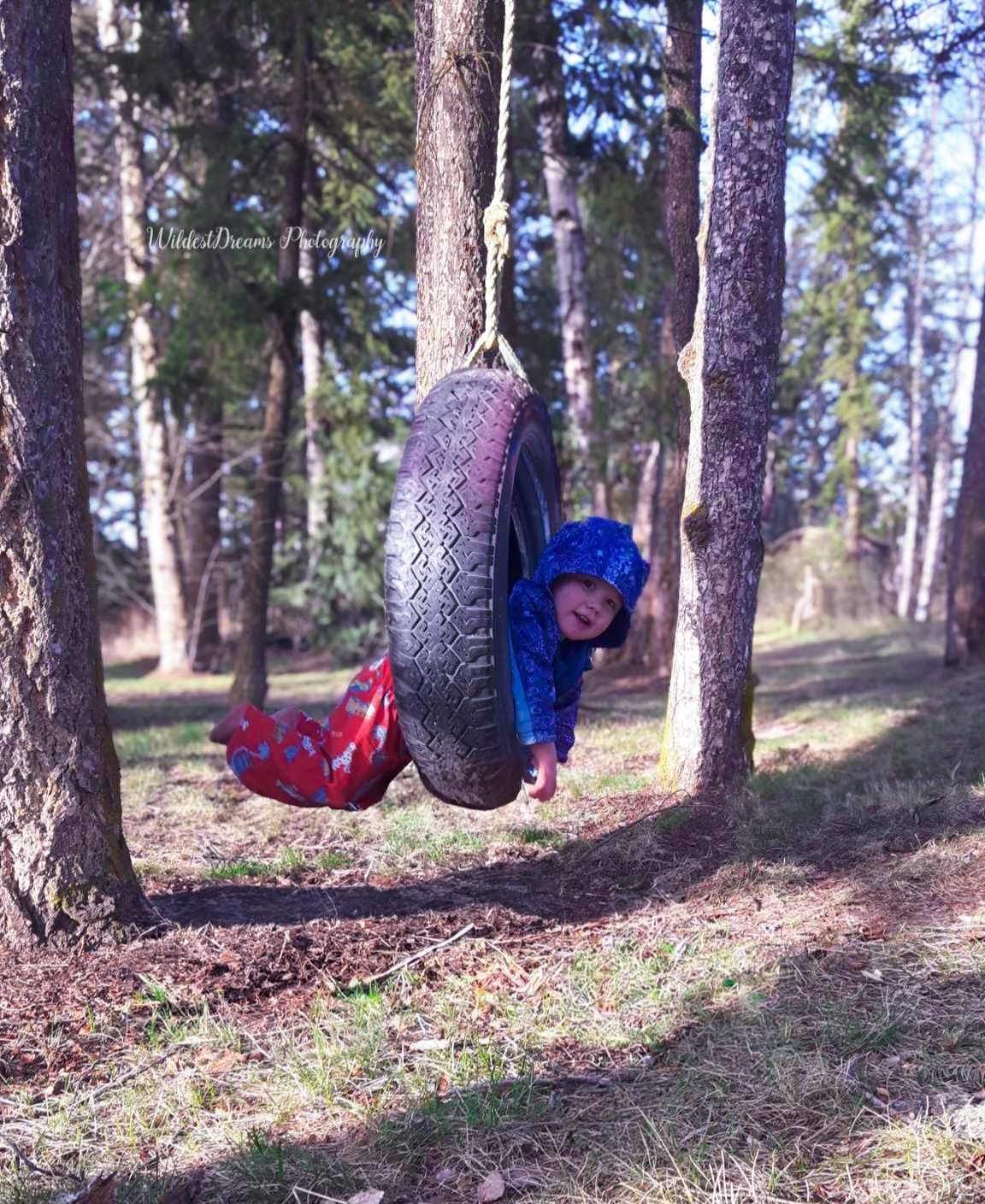 Wildest Dreams Photography's image