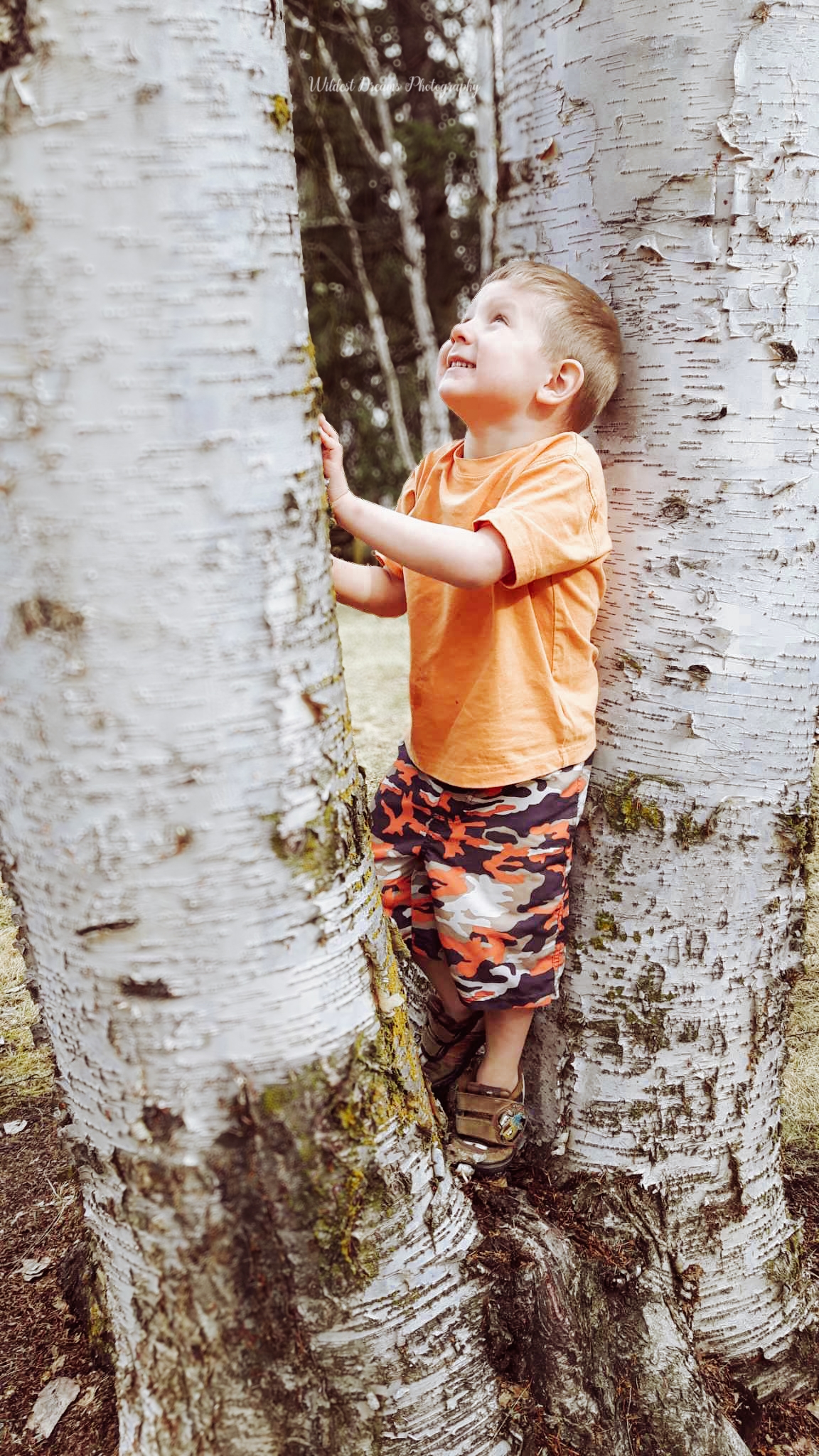 Wildest Dreams Photography's image