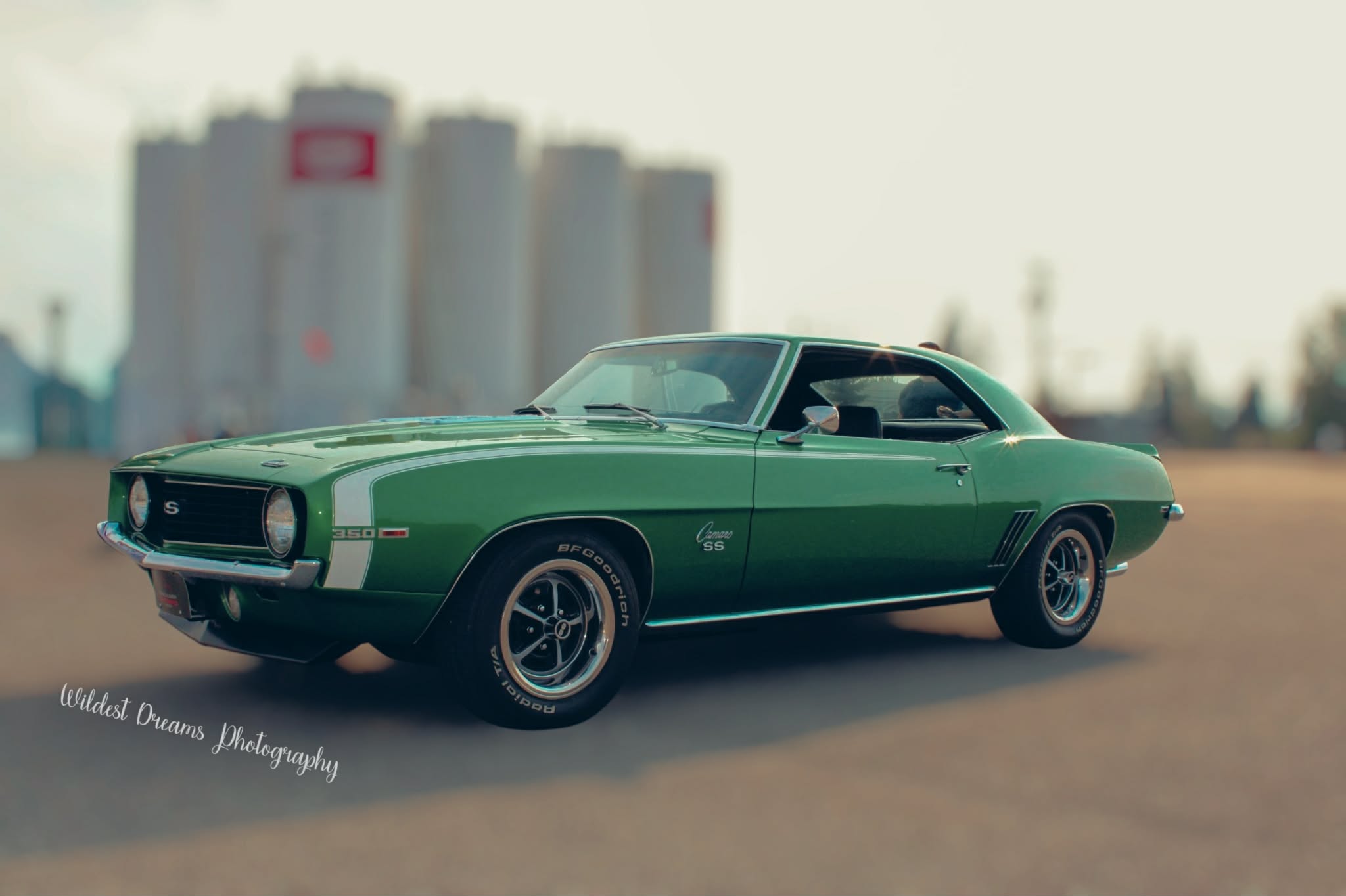 Wildest Dreams Photography's image