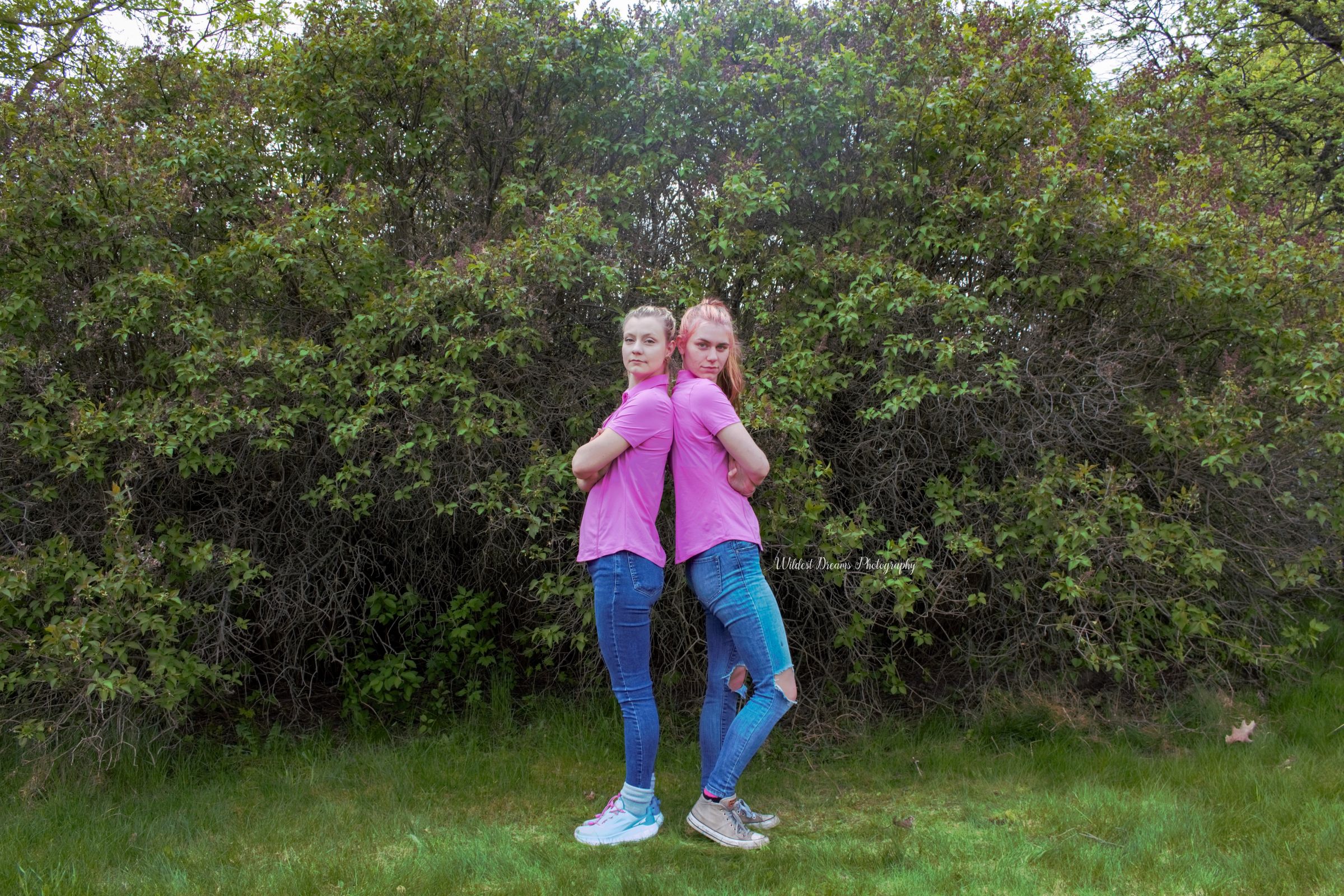 Wildest Dreams Photography's image