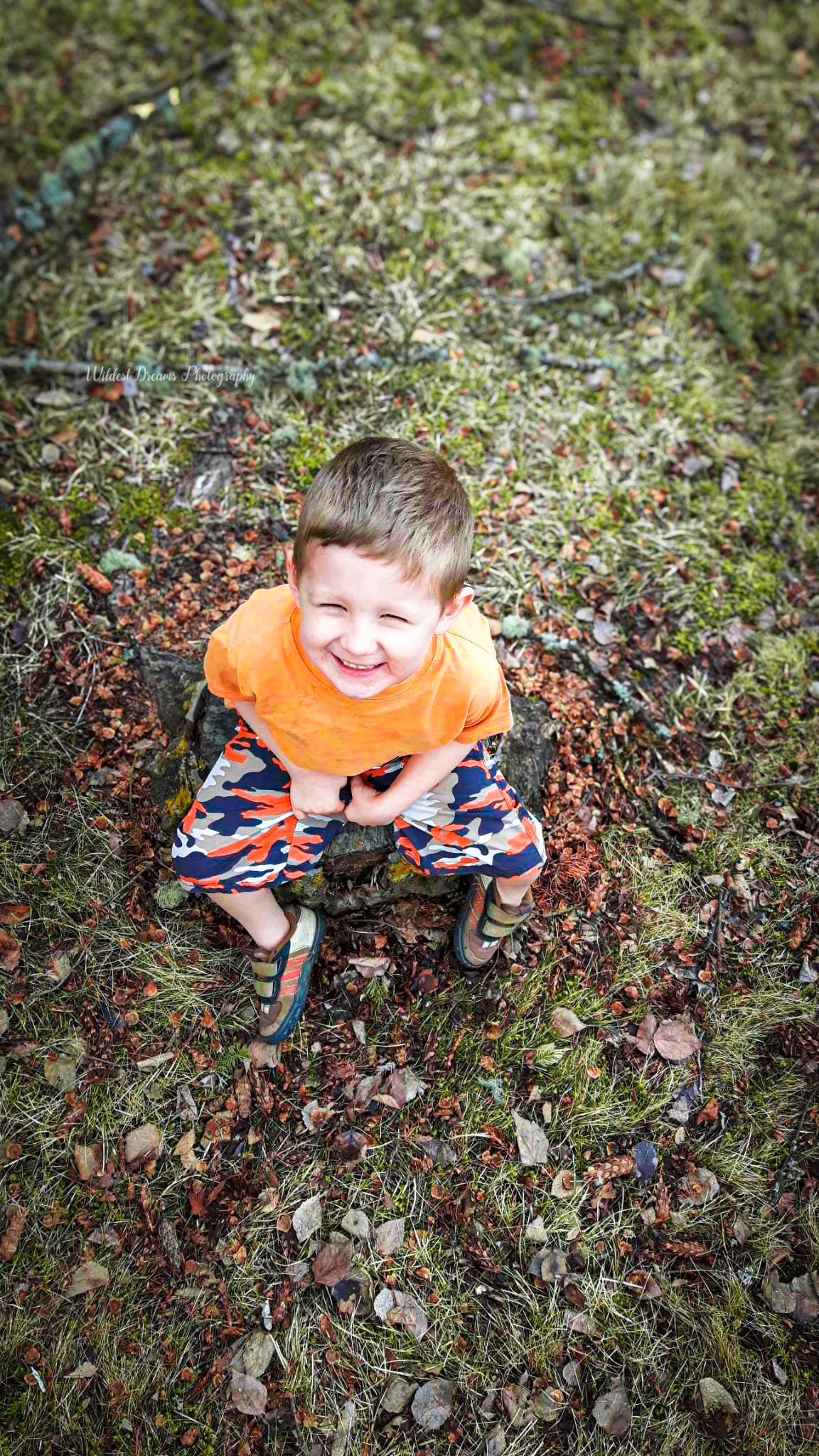 Wildest Dreams Photography's image