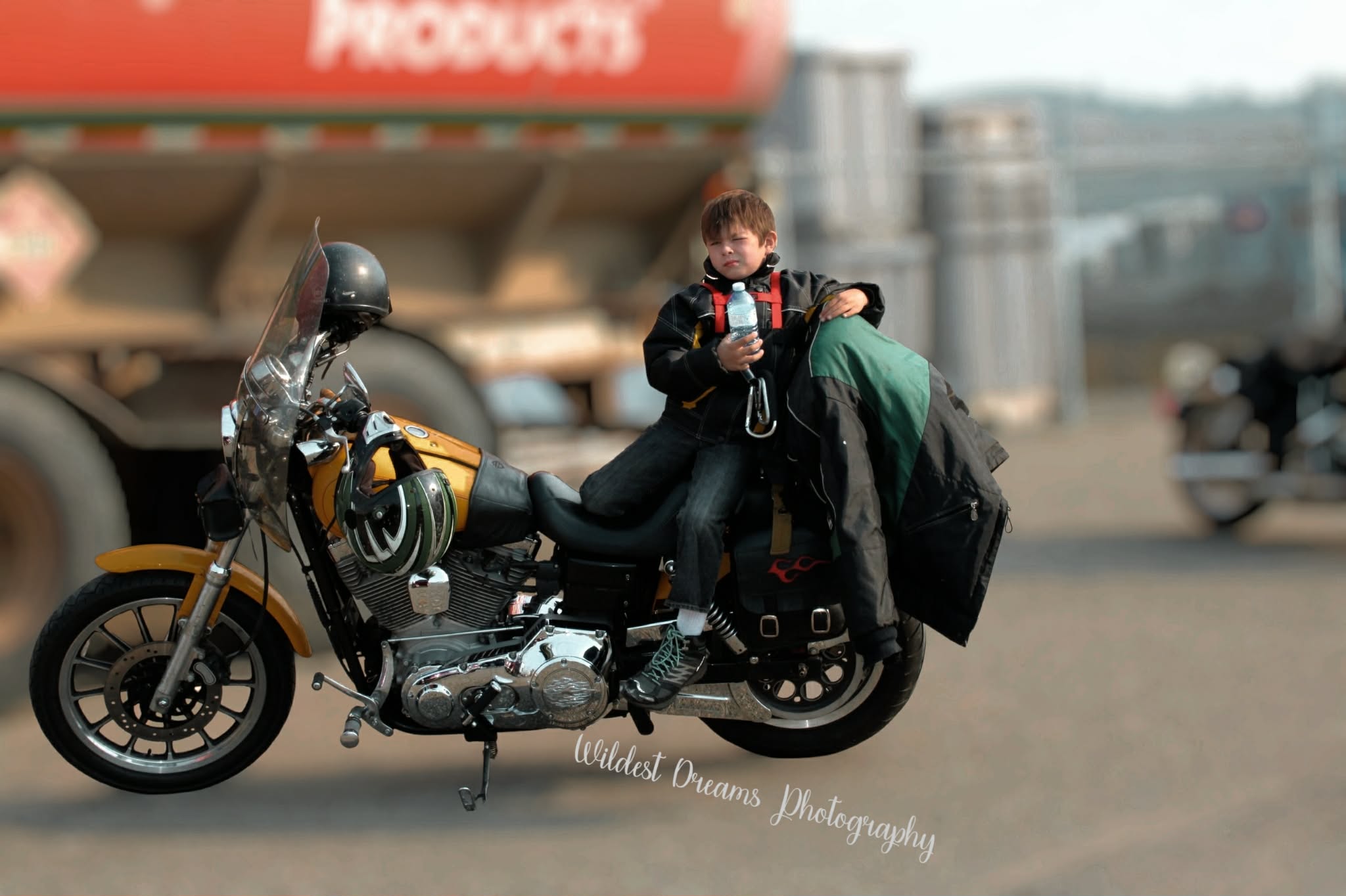 Wildest Dreams Photography's image