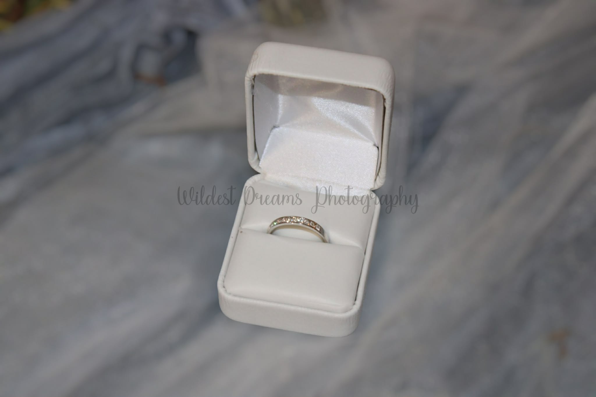 Wildest Dreams Photography's image