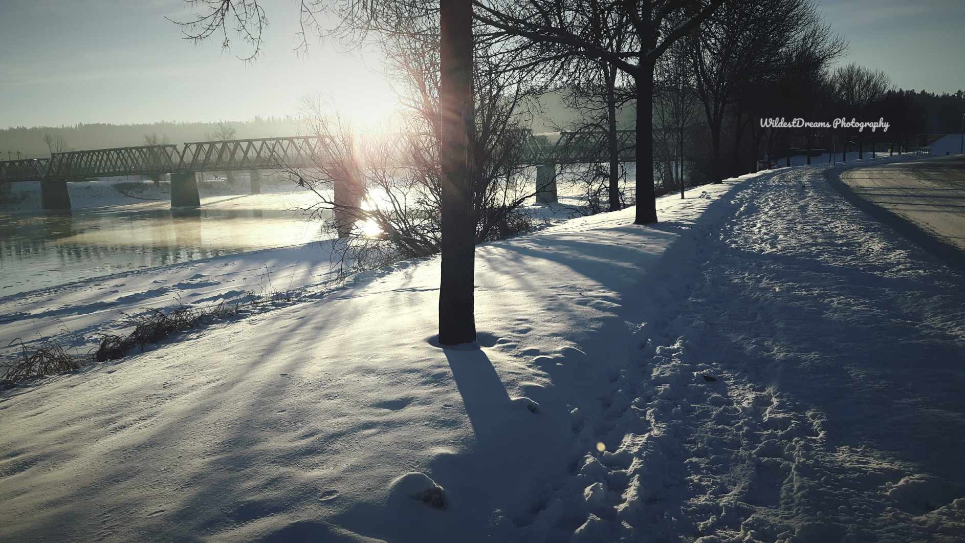 Wildest Dreams Photography's image