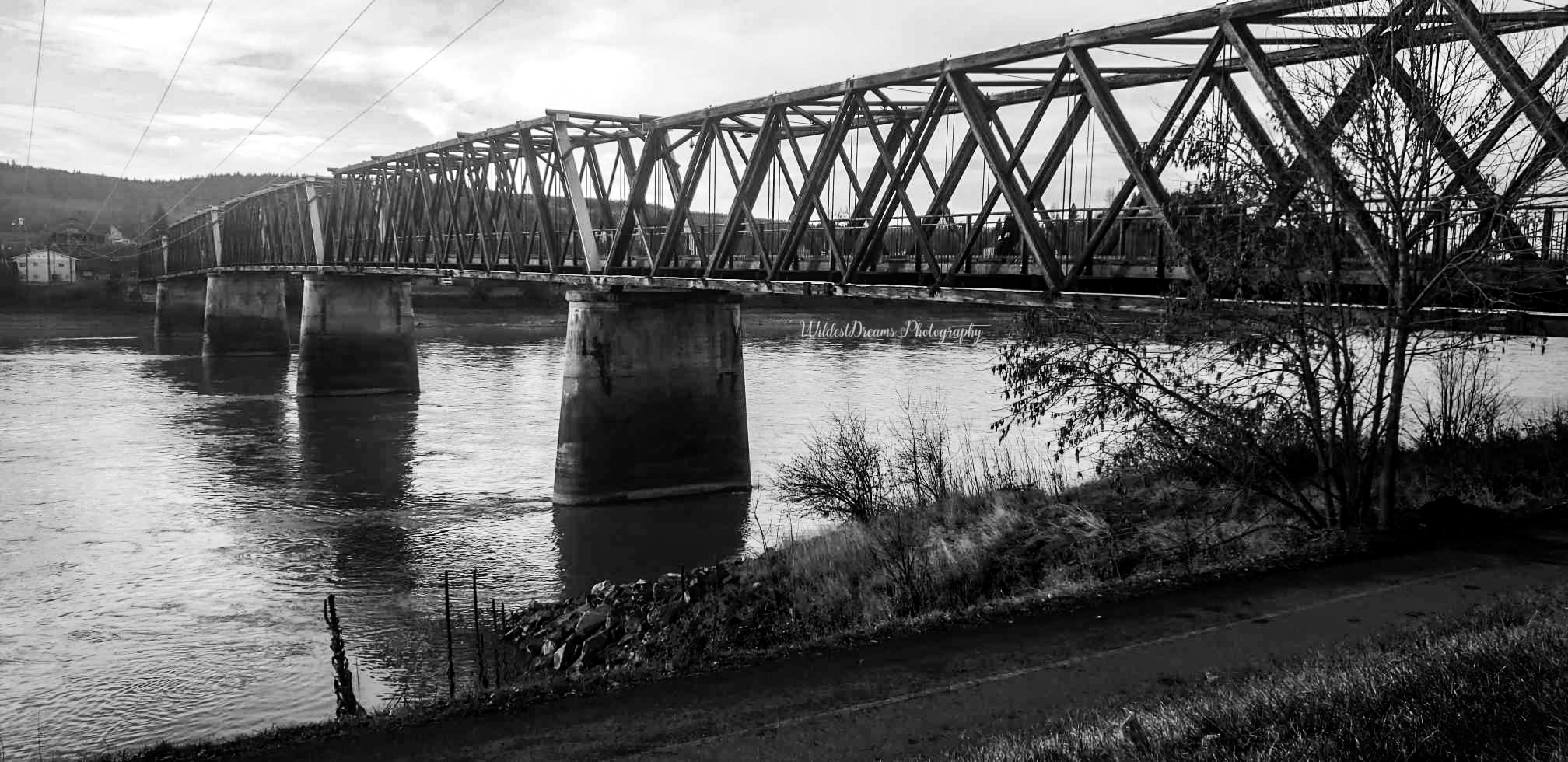 Wildest Dreams Photography's image