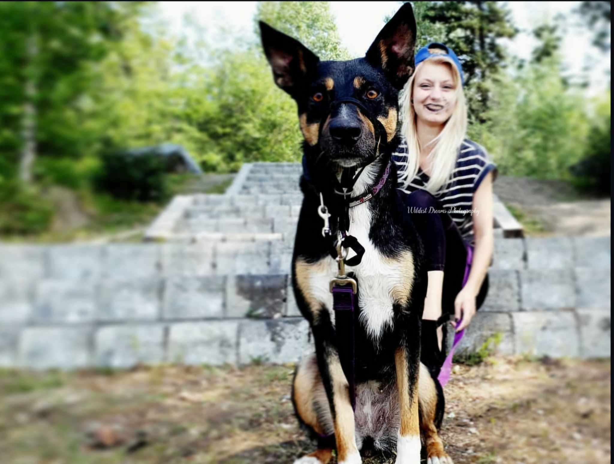 Wildest Dreams Photography's image