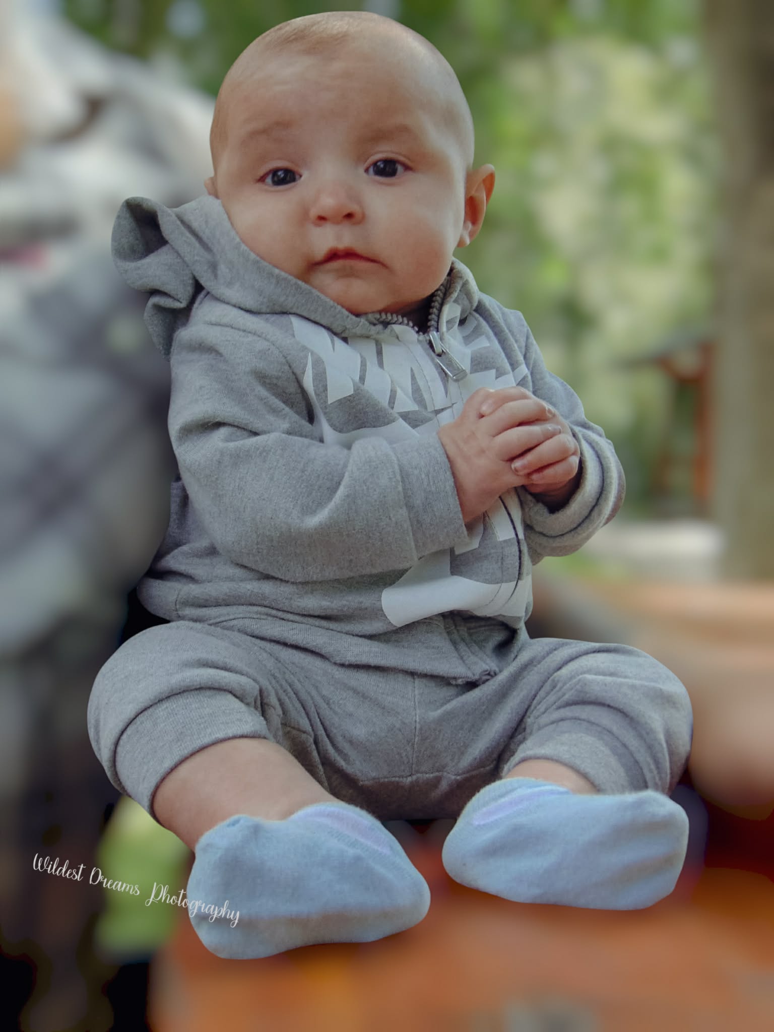 Wildest Dreams Photography's image