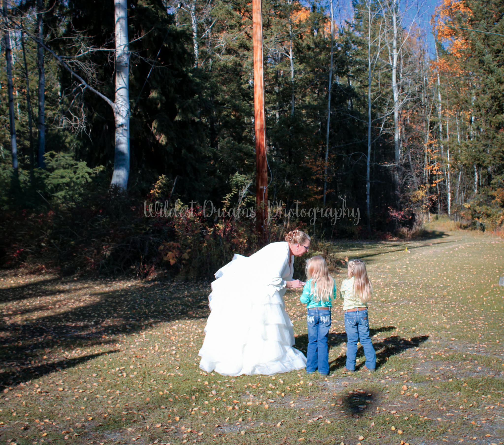 Wildest Dreams Photography's image