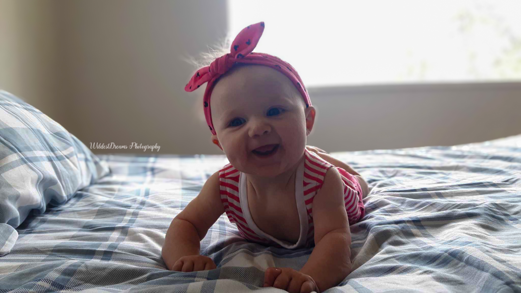 Wildest Dreams Photography's image