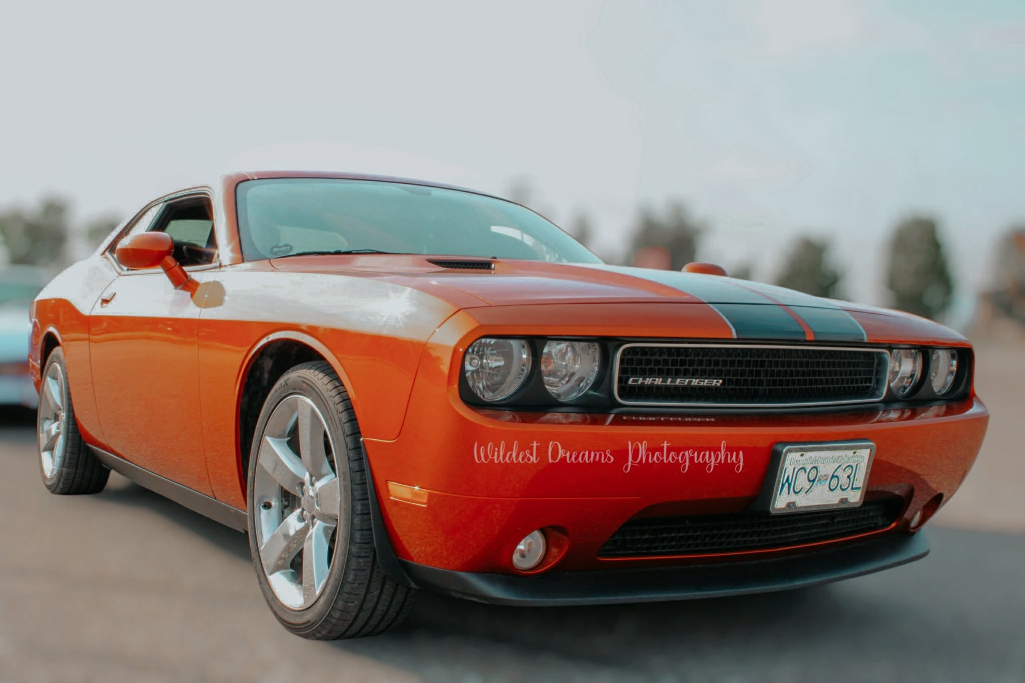 Wildest Dreams Photography's image