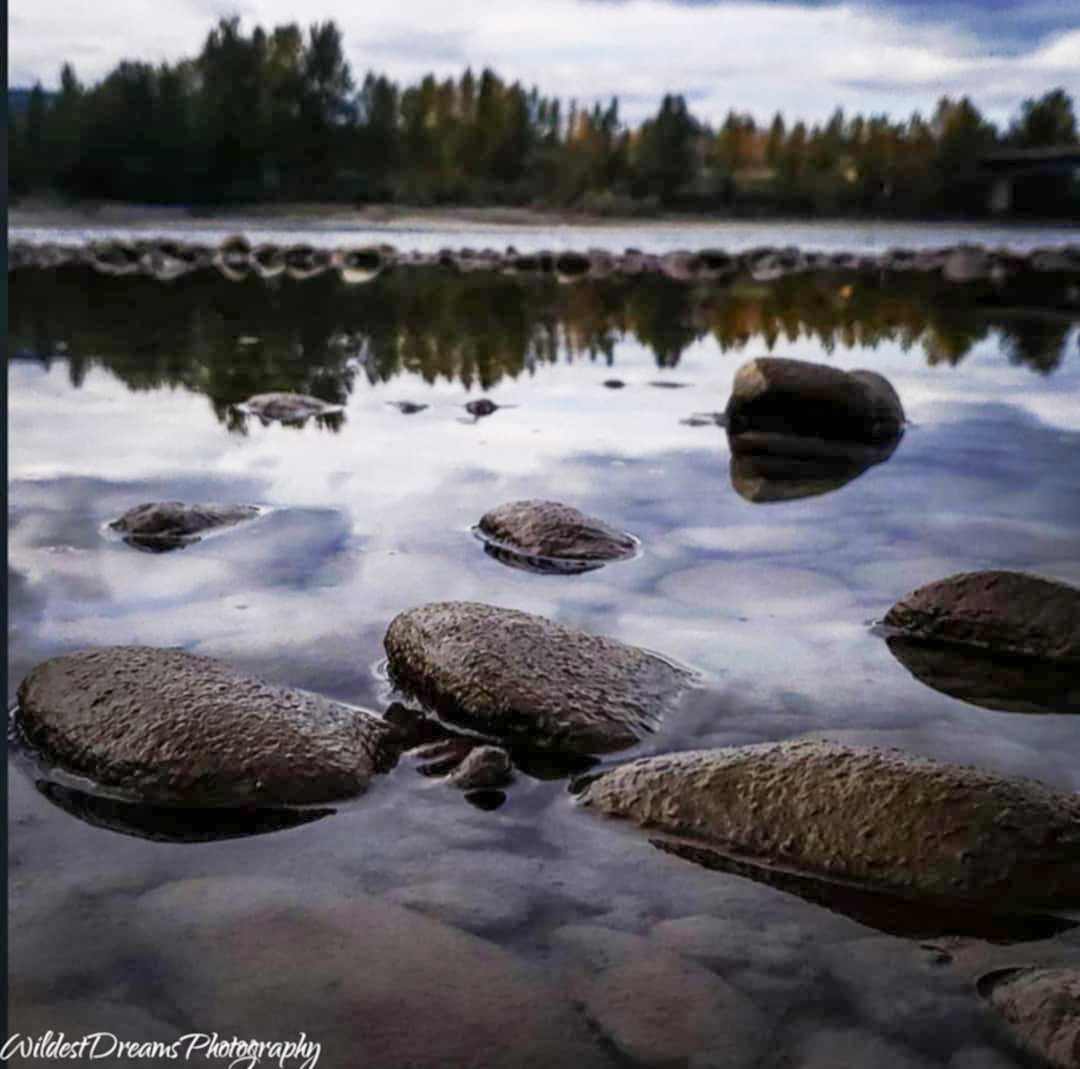 Wildest Dreams Photography's image