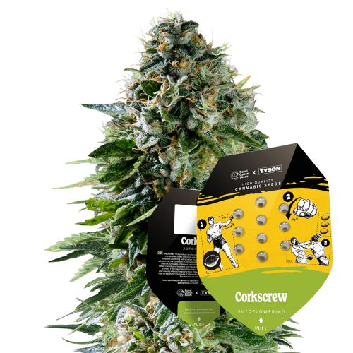 Green Strength  CBD Specialist 's image