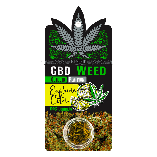 Green Strength  CBD Specialist 's image