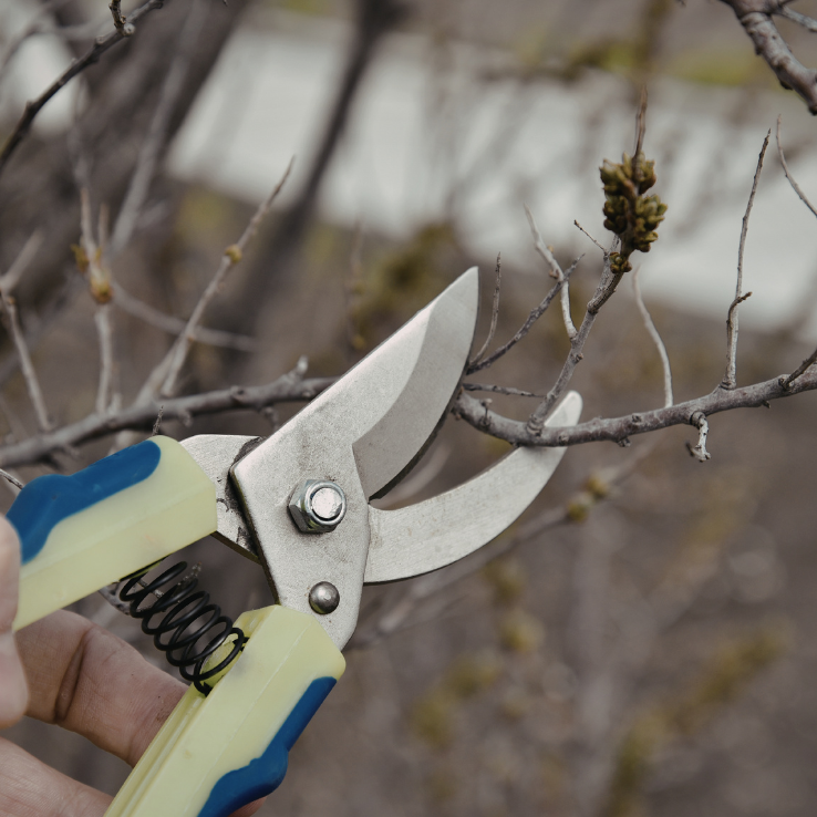 The Sharp Shop's image