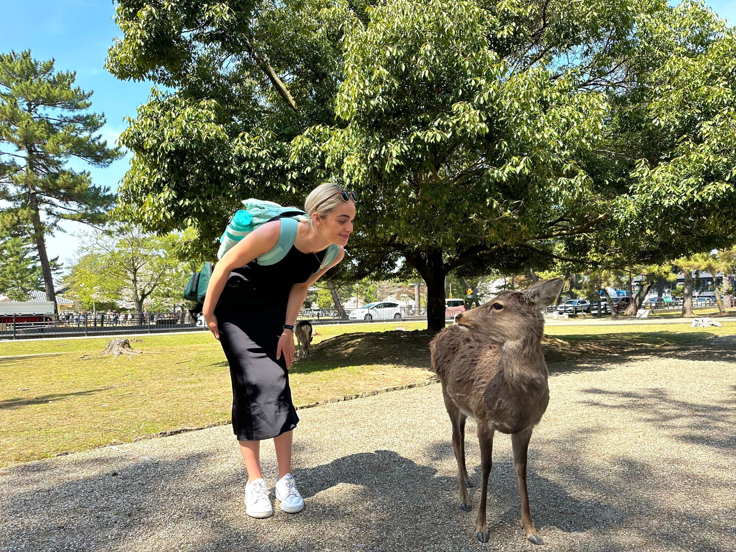 Nara, Japan