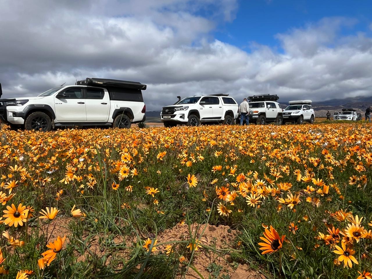 Mertenhof Farm- Biedouw Valley's image