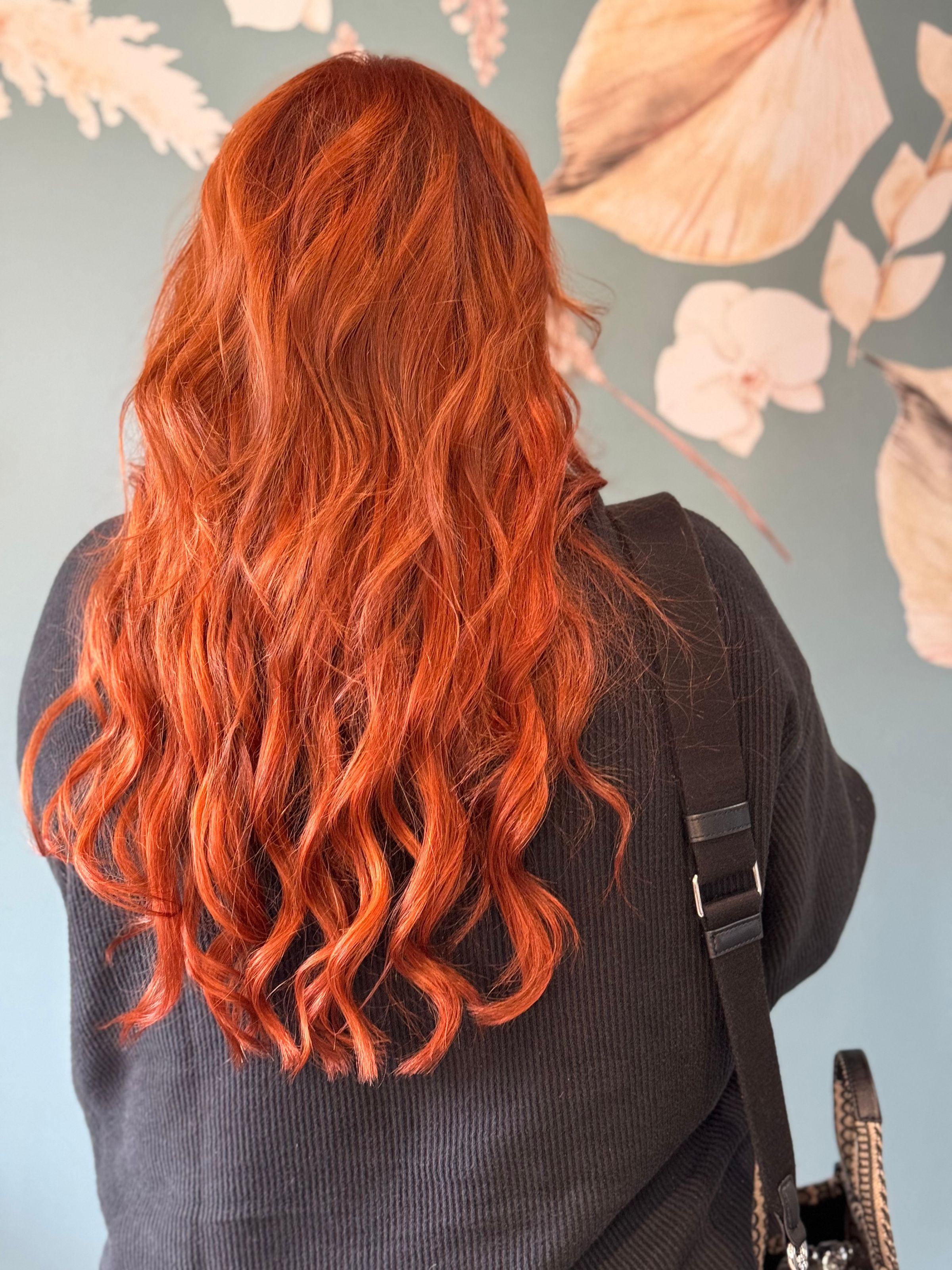 Aeloria Suites's image