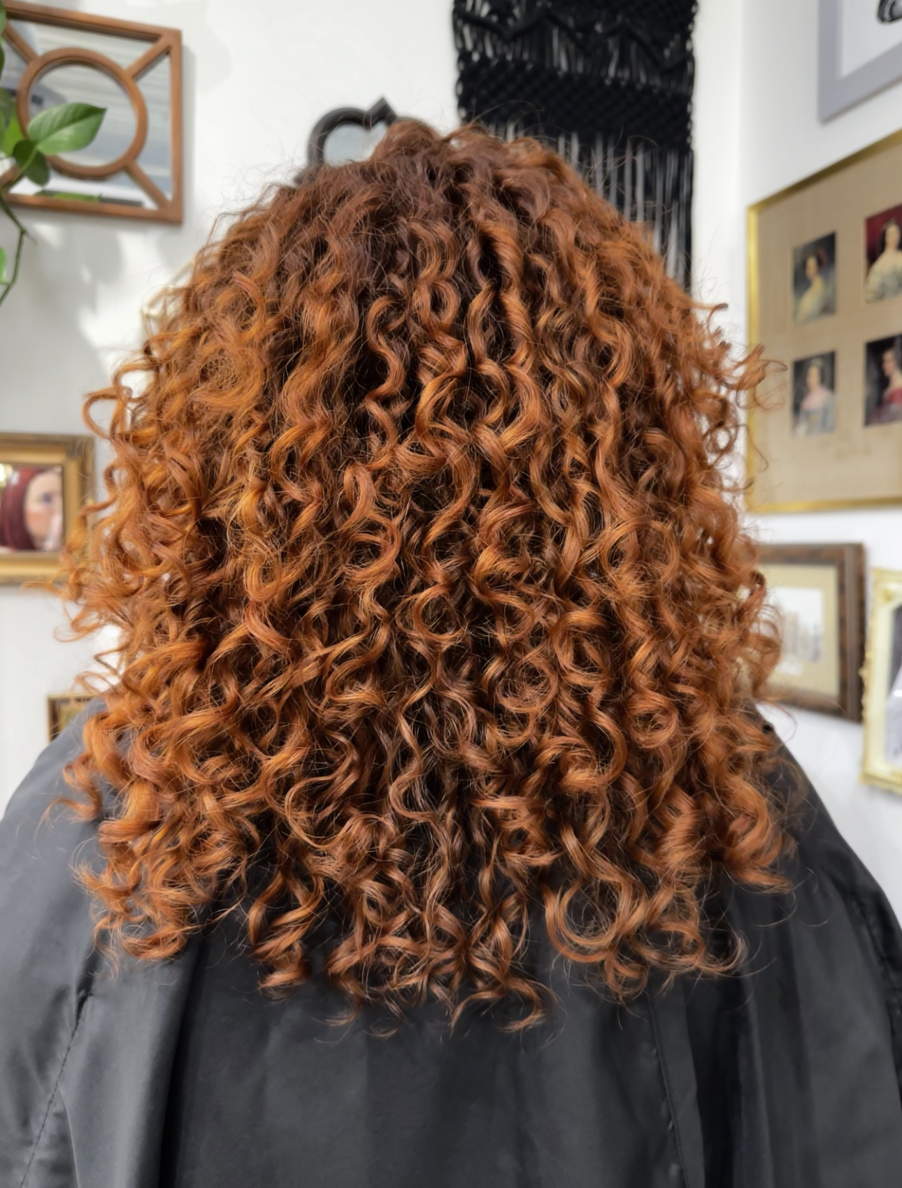 Aeloria Suites's image