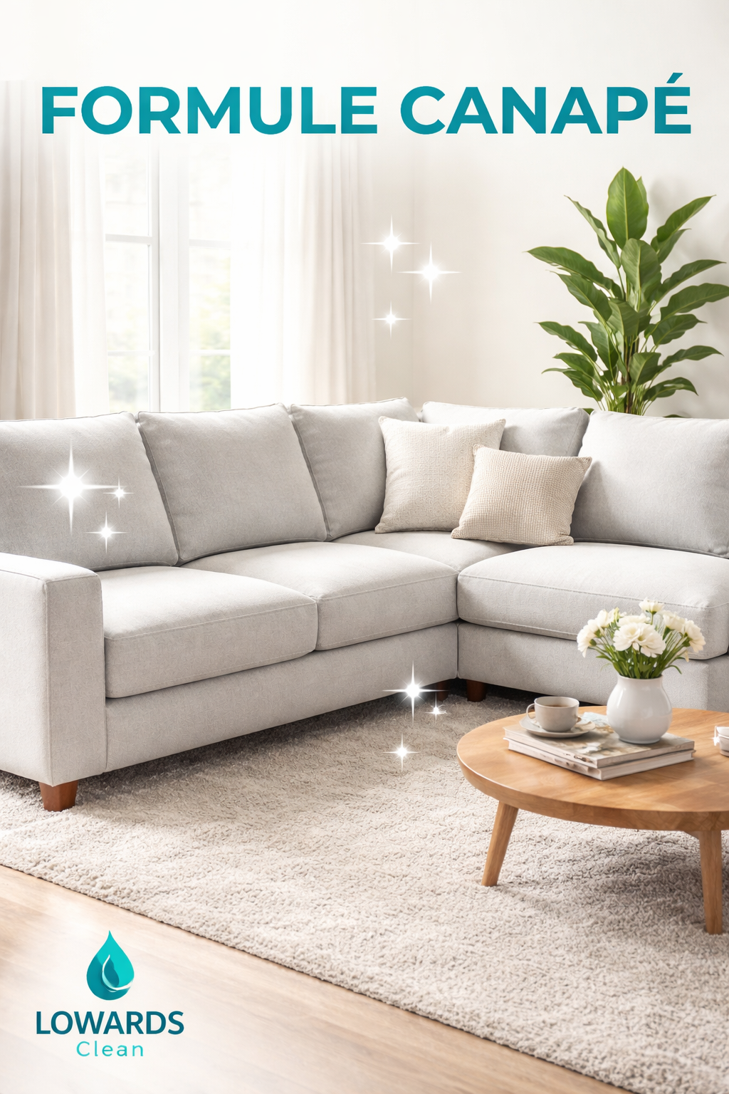 LOWARDS Clean | Nettoyage intérieur véhicule & textile 's image