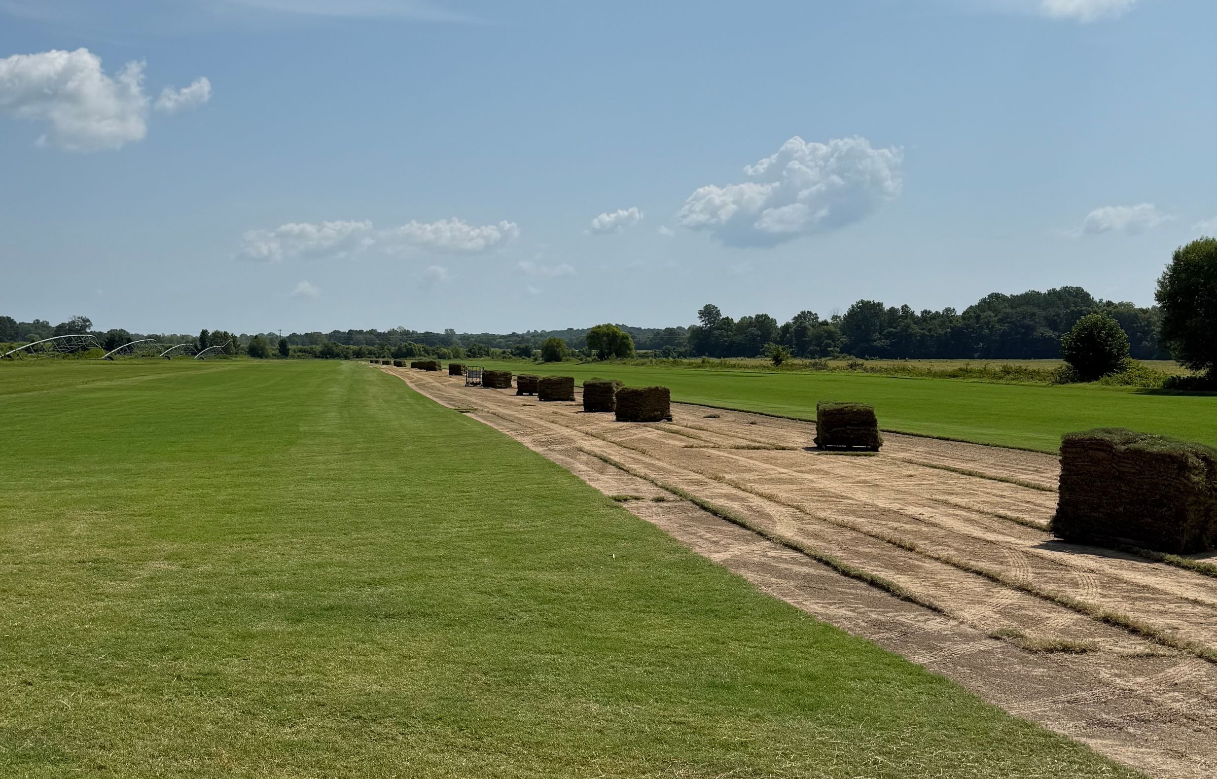 F & S Turf Grass's image