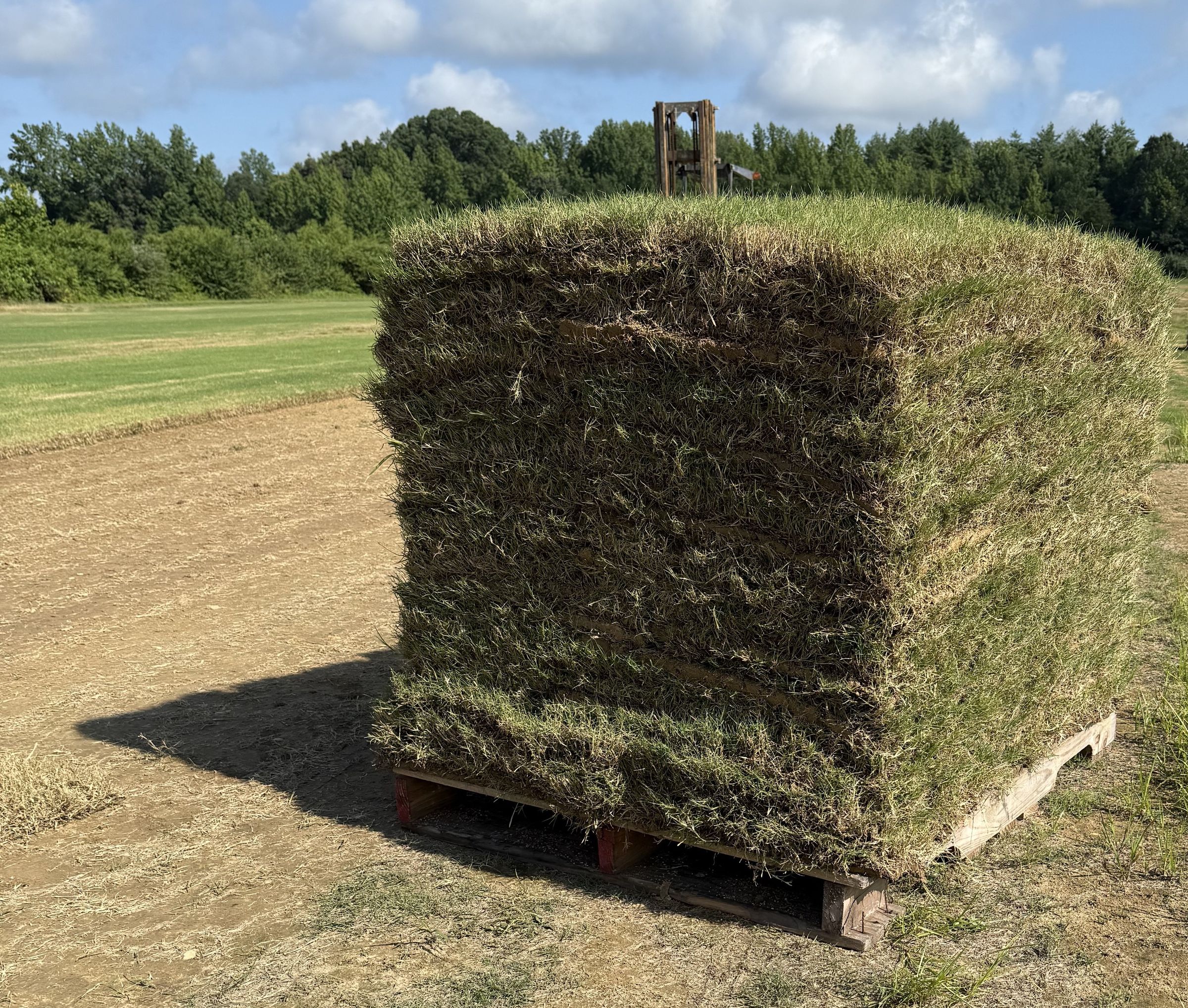 F & S Turf Grass's image