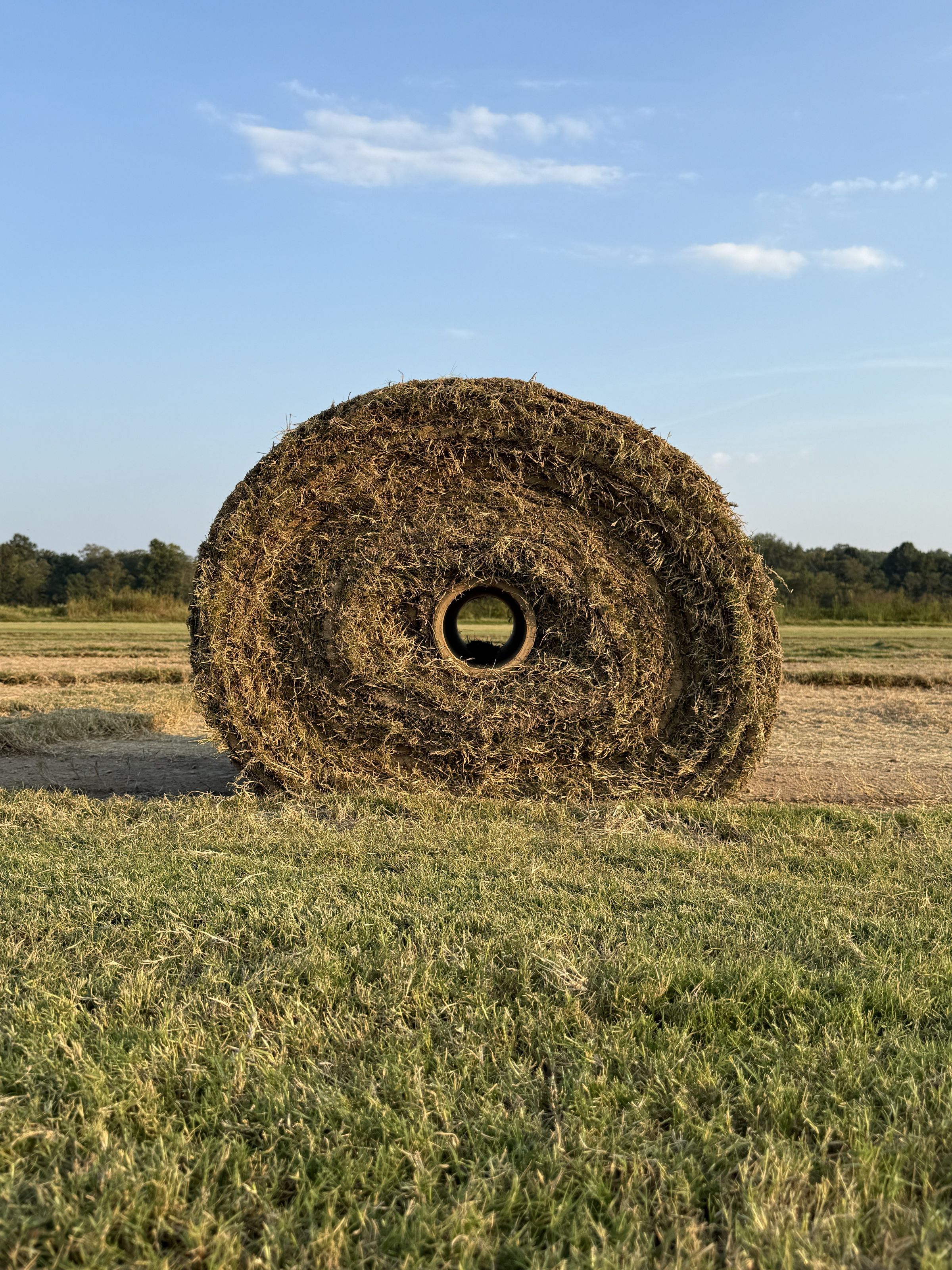 F & S Turf Grass's image