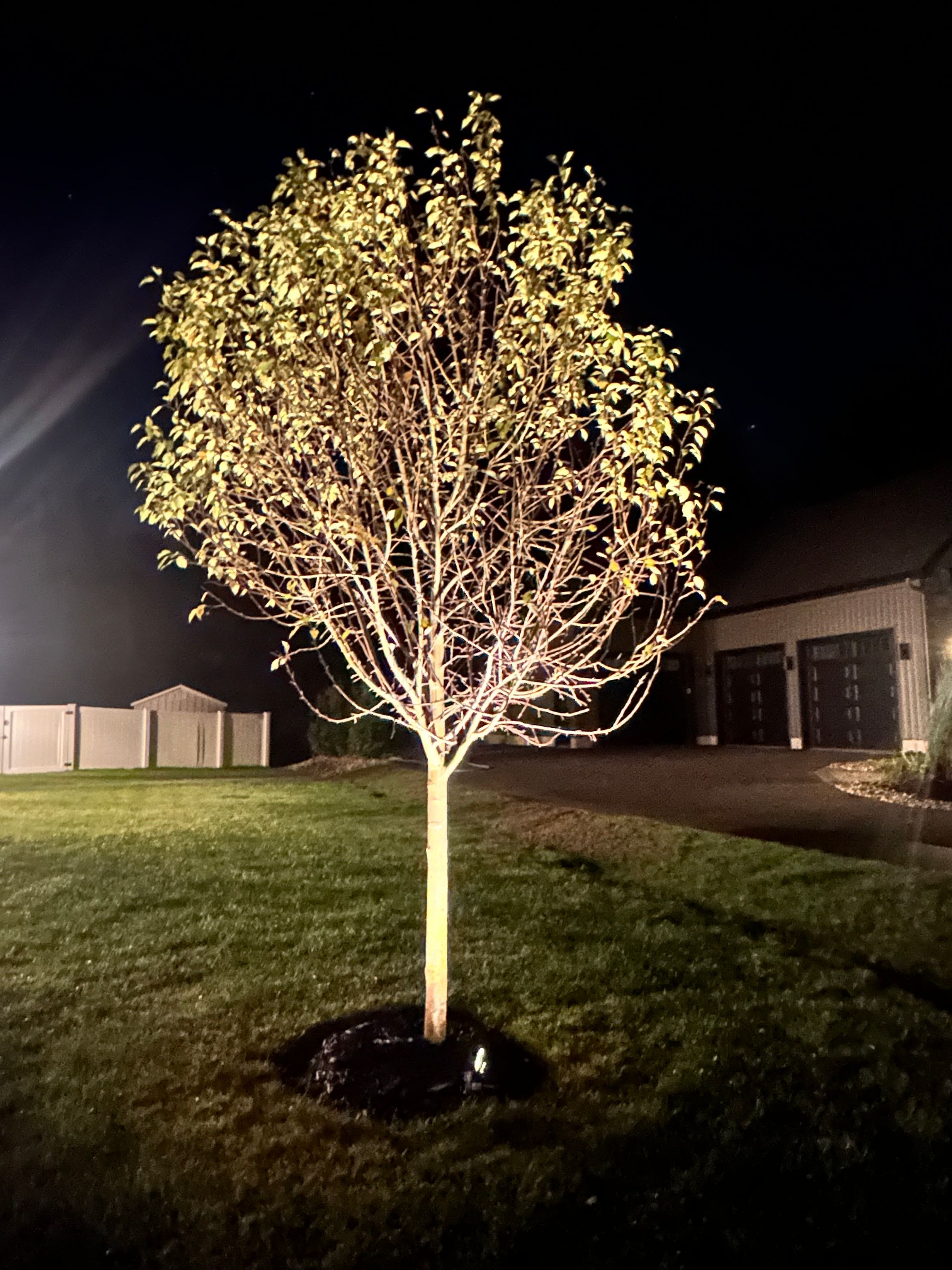 Homestead Landscape and Design LLC's image