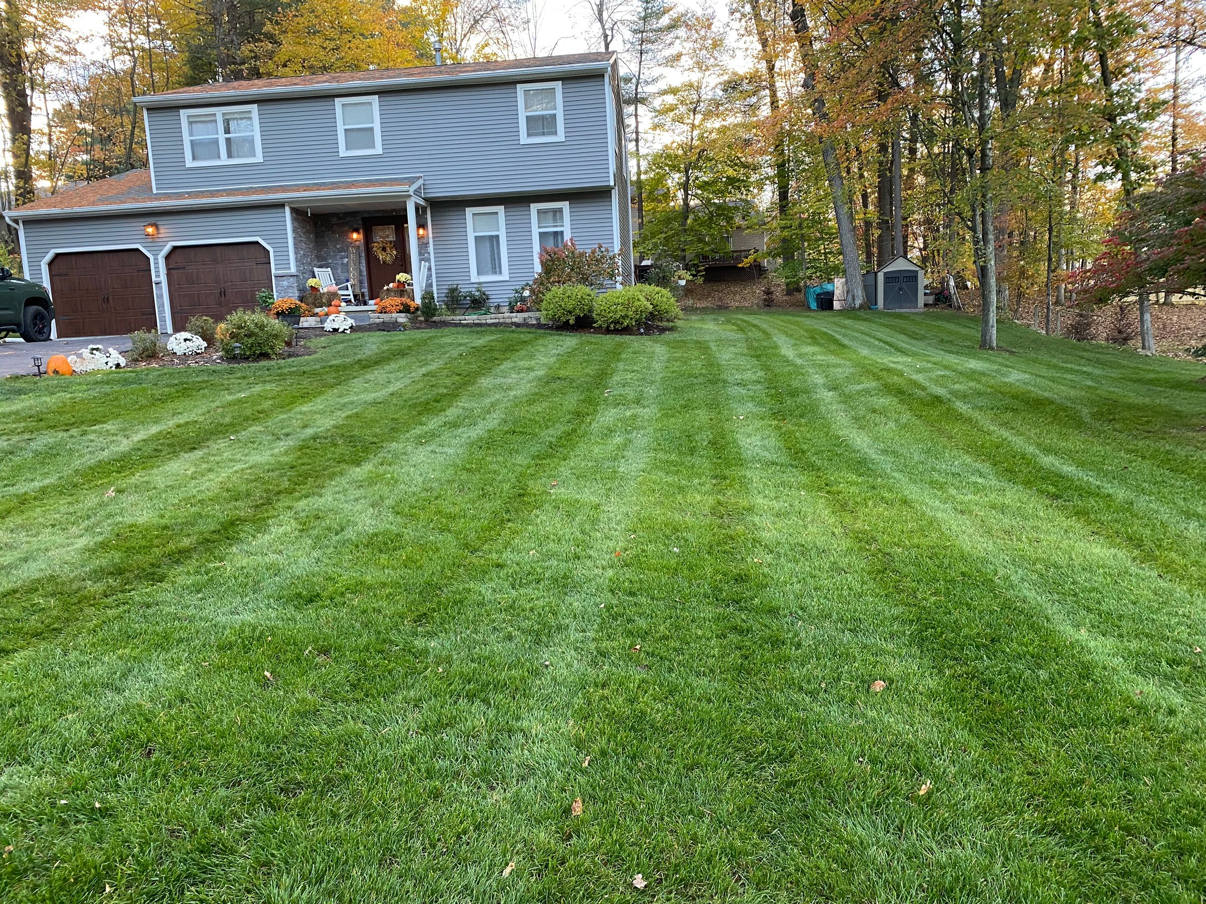 Homestead Landscape and Design LLC's image