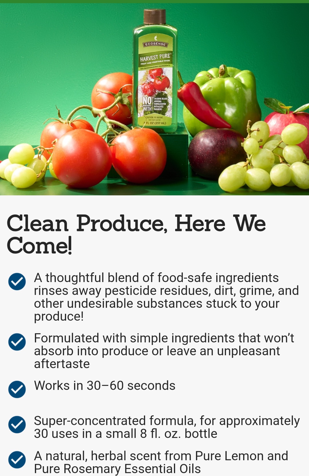 Gaia's Natural Healing Foundation's image