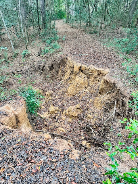 Washed out culvert