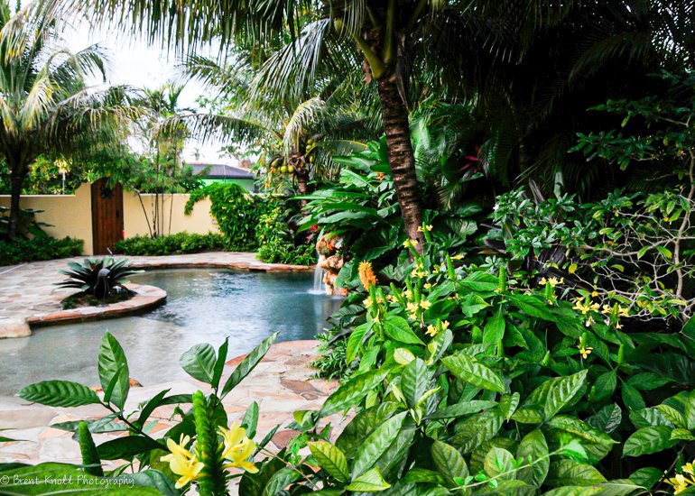 1ST QUALITY LANDSCAPING AND SERVICES's image