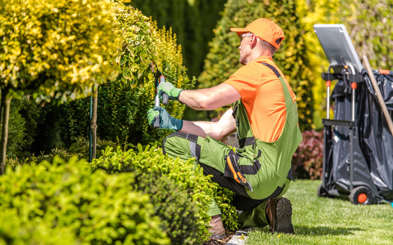 1ST QUALITY LANDSCAPING AND SERVICES's image
