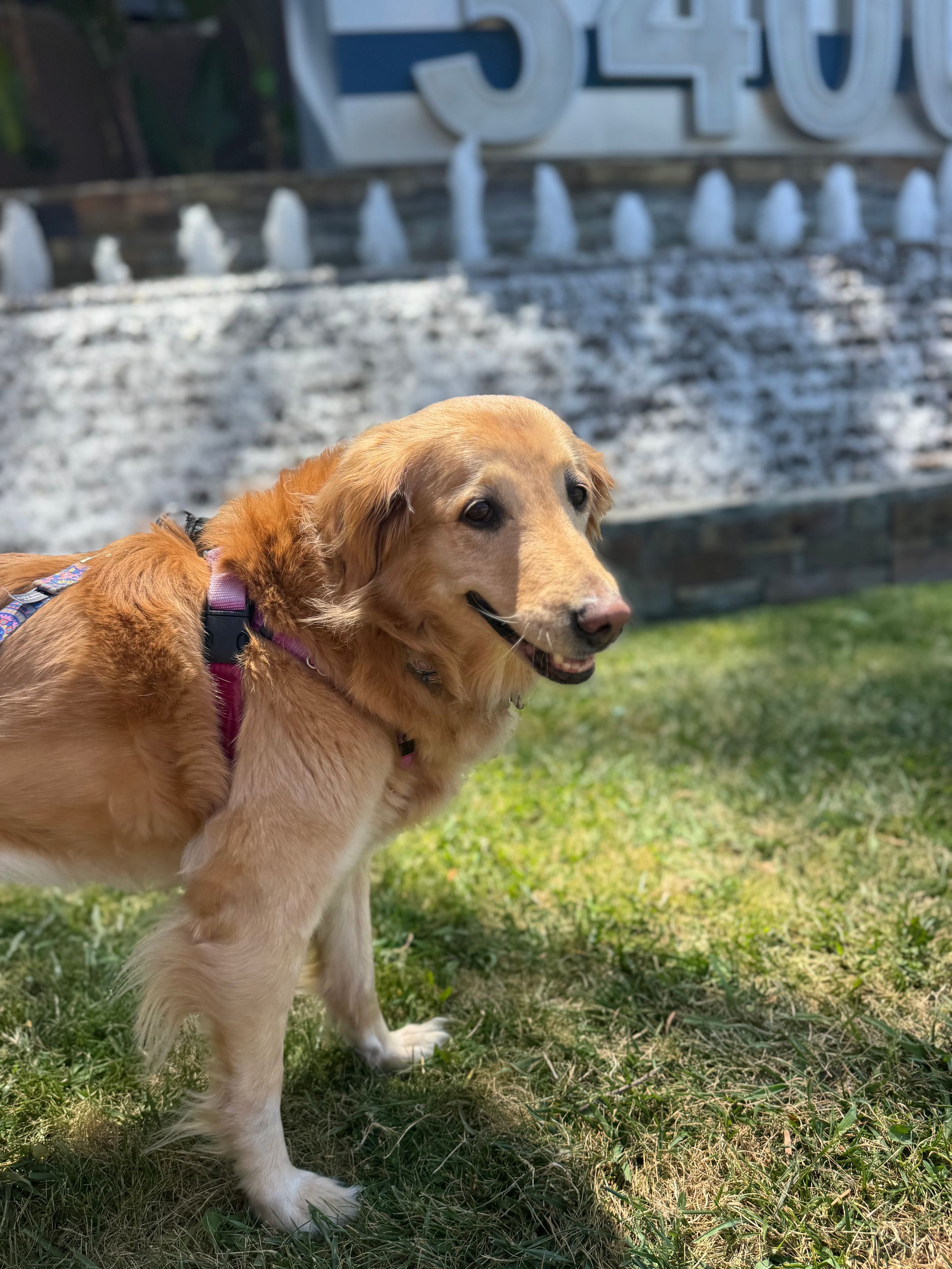 Charlotte enjoys the scenic waterfall.
