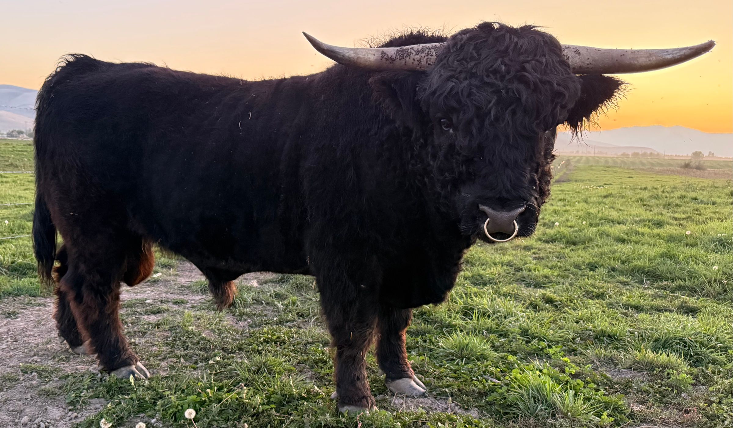 High Prairie ranch LLC's image