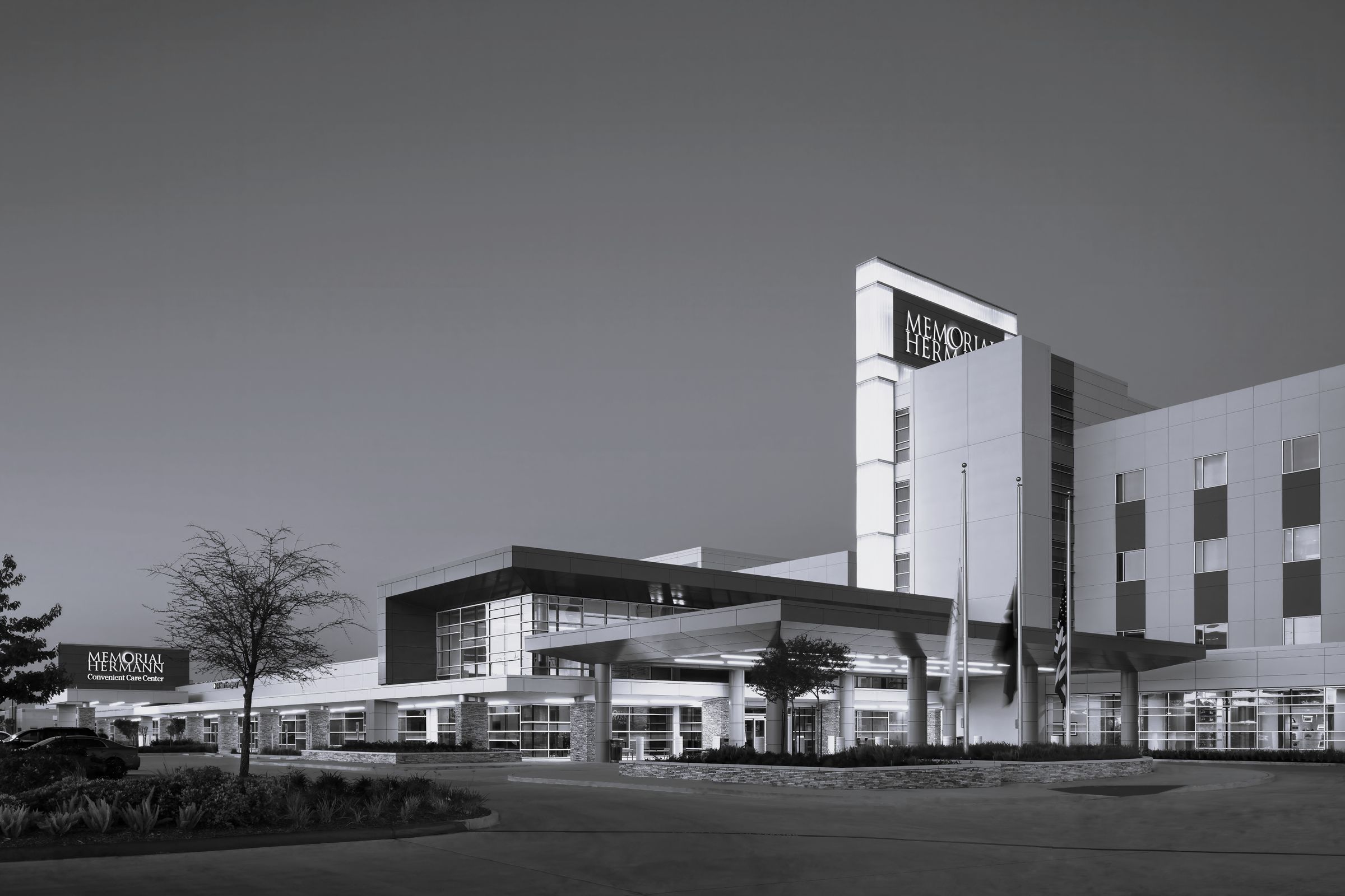 Spatiaforma's image