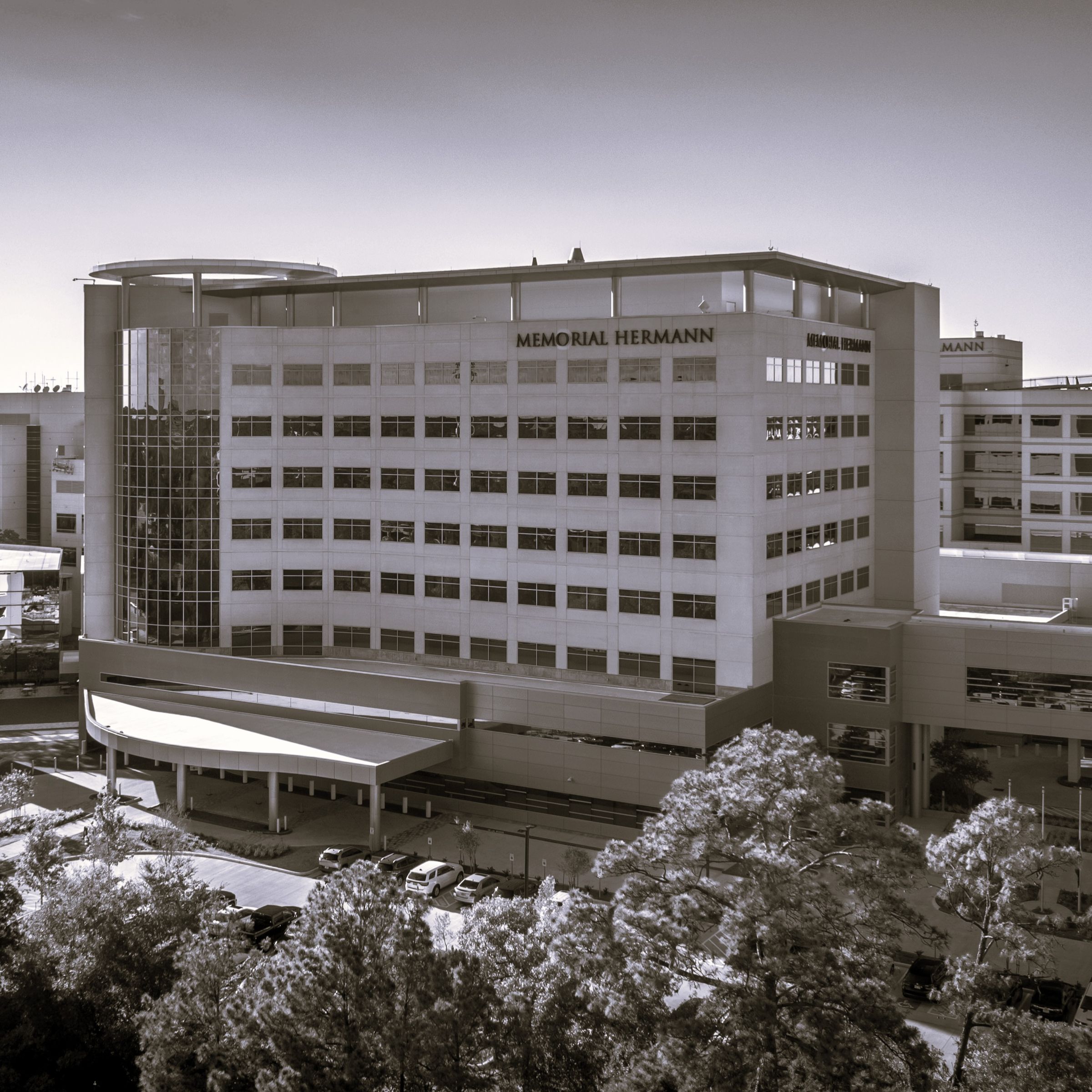 Spatiaforma's image