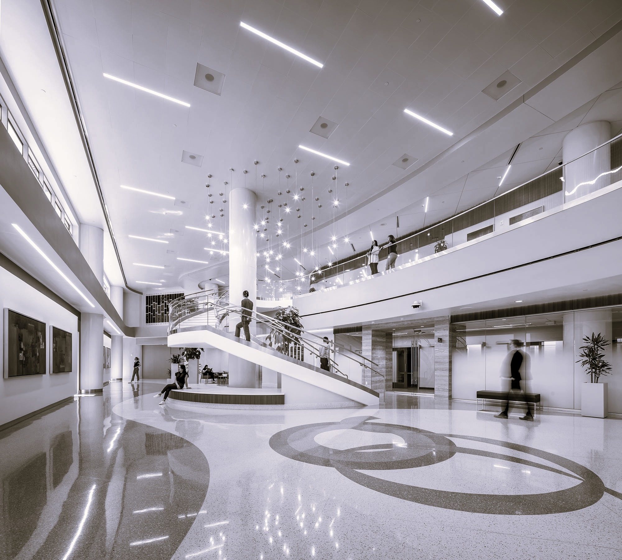 Spatiaforma's image