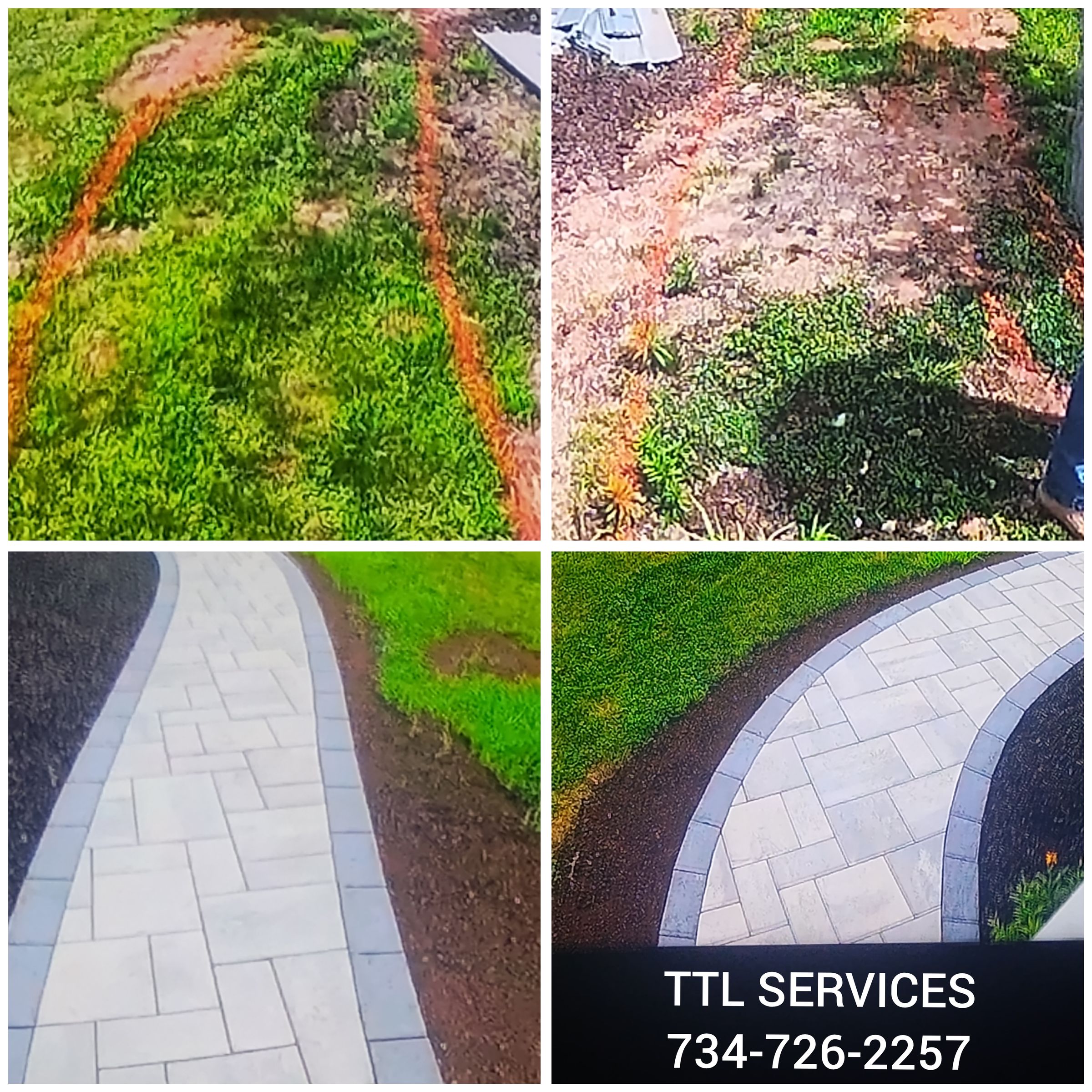 TTL SERVICES 's image